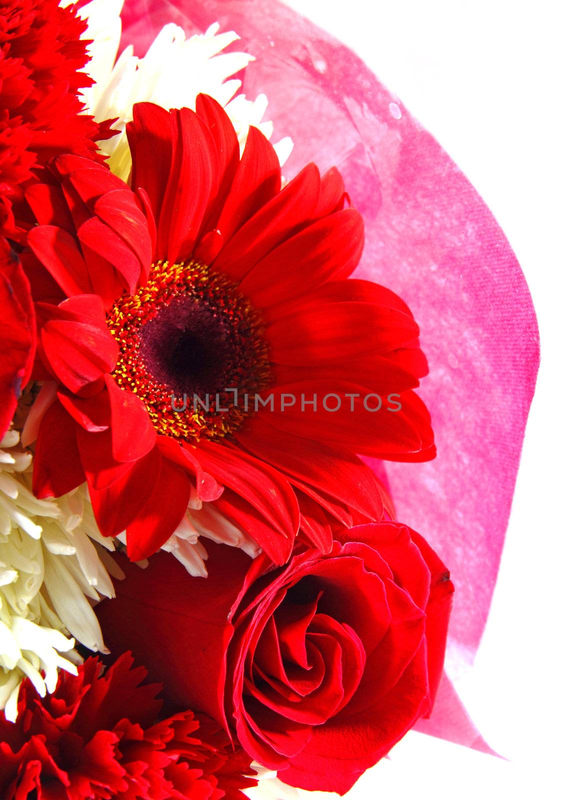 Red floral bouquet on white background