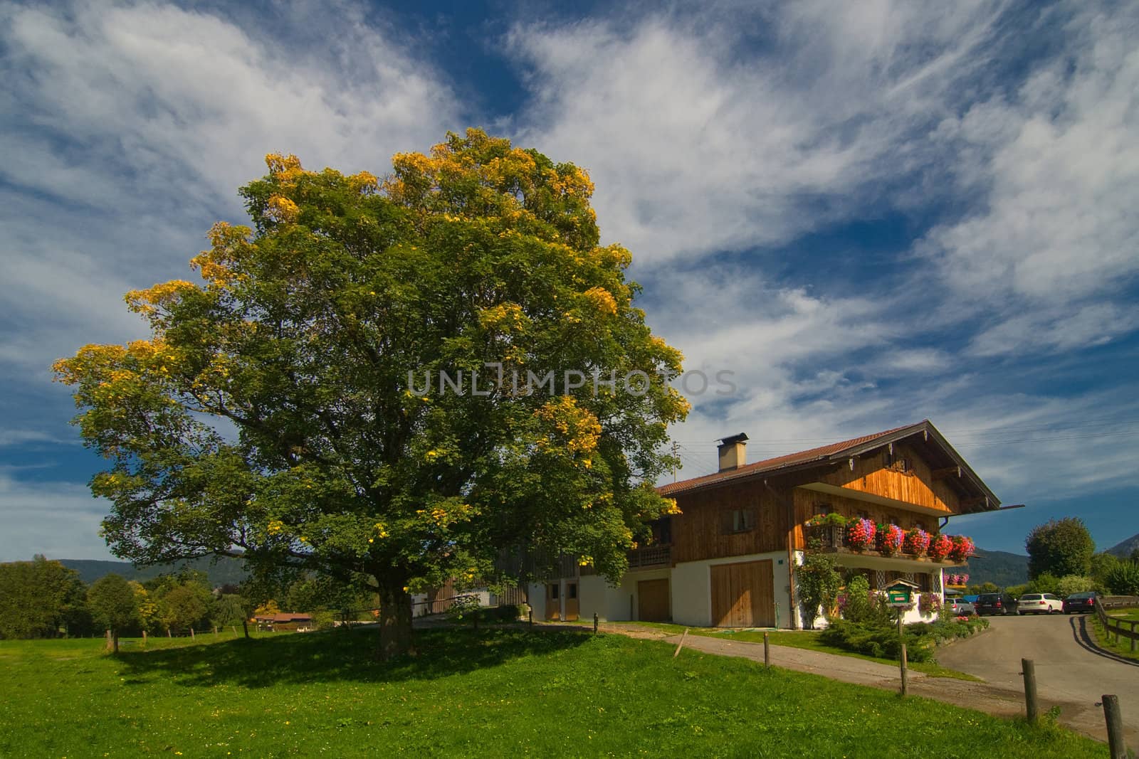 The house in the Bavarian village with the big oak and colors on a facade