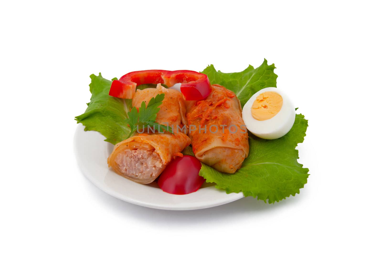 Stuffed cabbage on plate, isolated on white