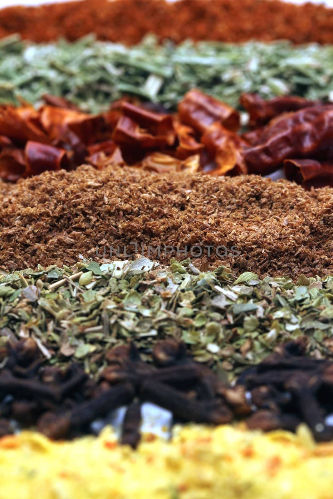 mixed lines from spices by Teka77
