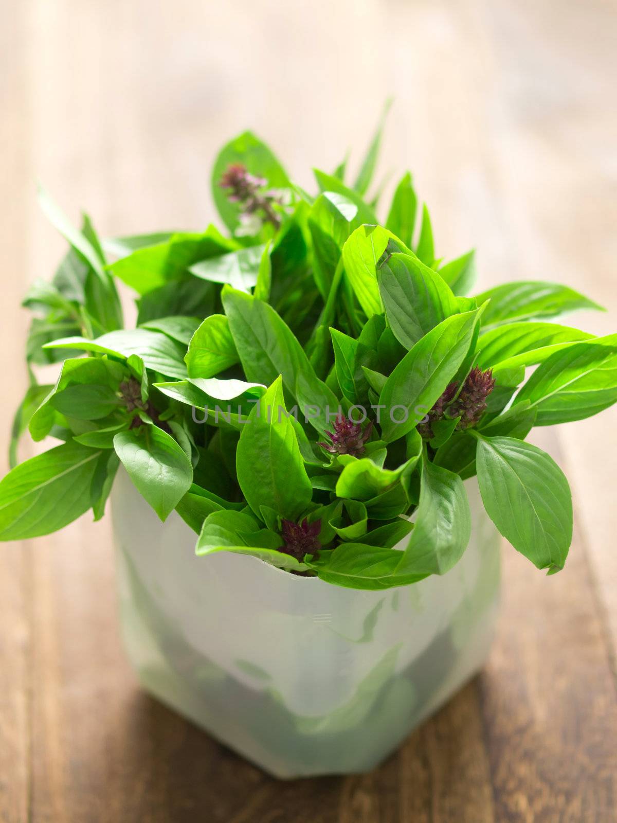 close up of fresh basil leaves on kitchen table