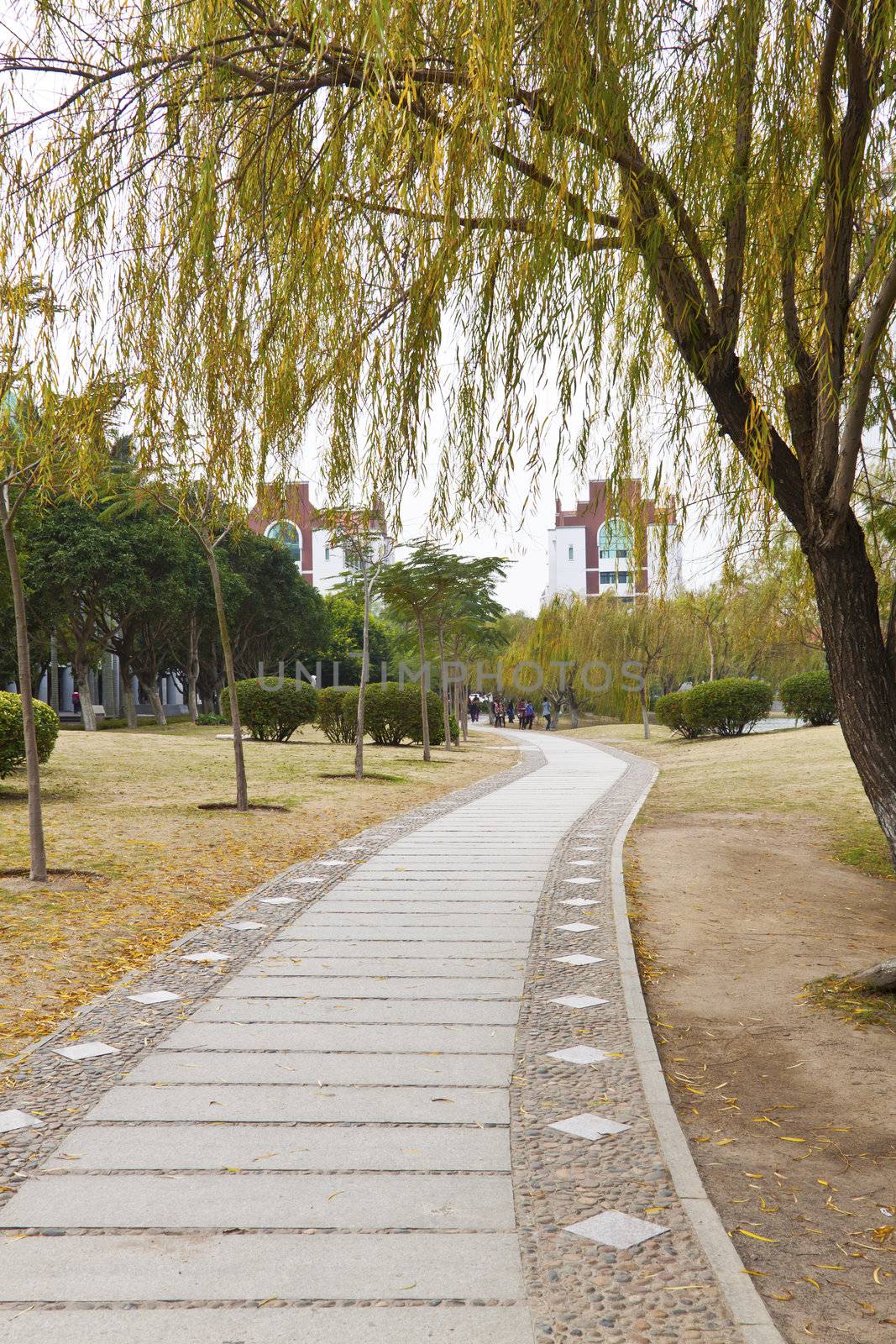 Walkway in a university by kawing921