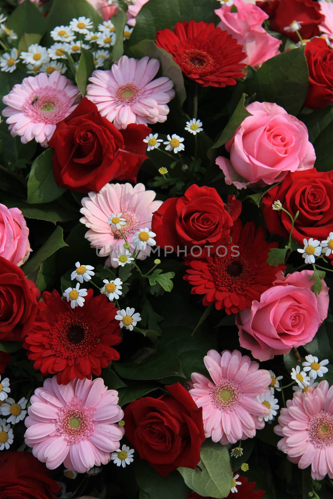 gerberas and roses in a red and pink mixed flower arrangement