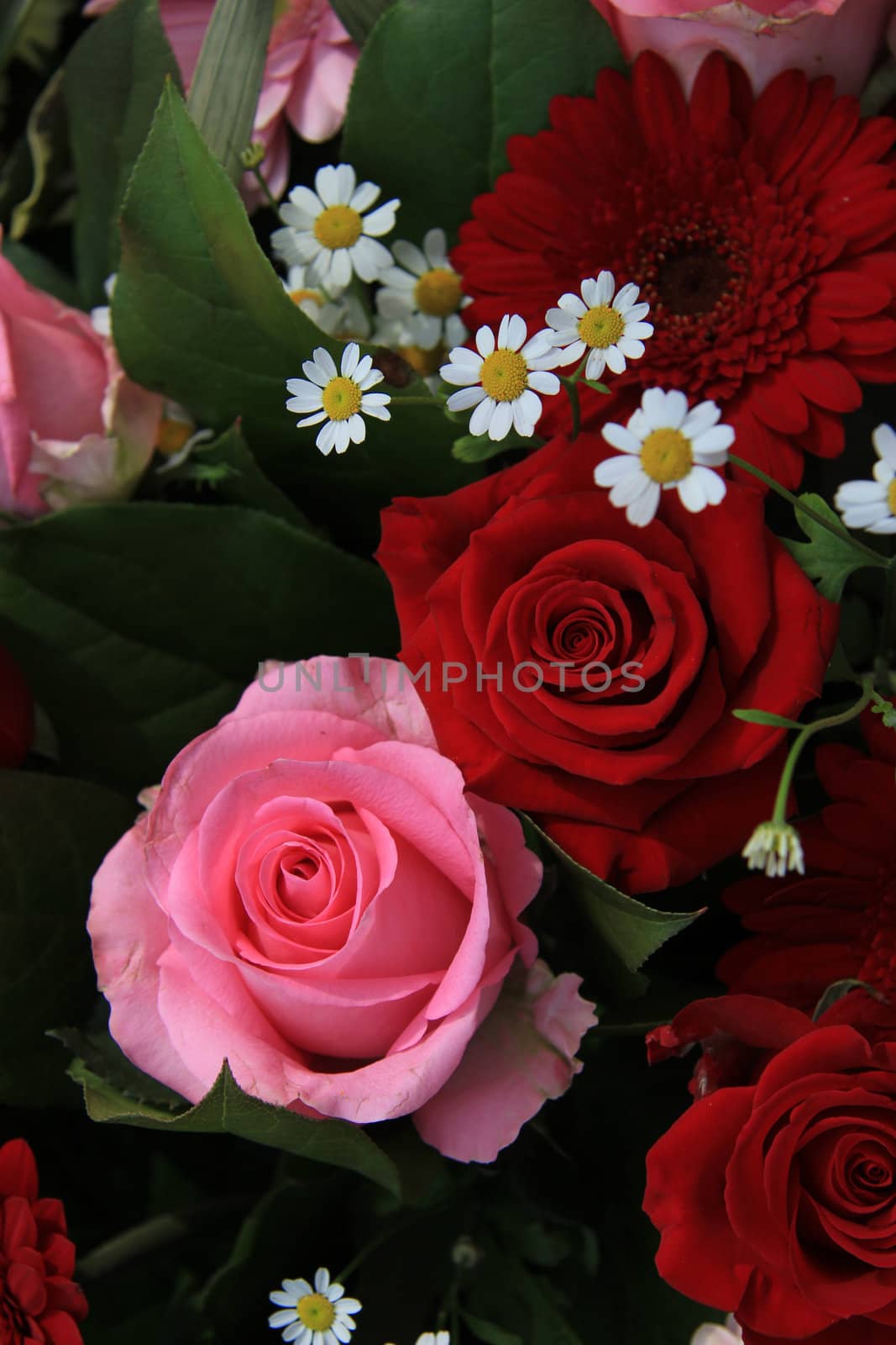gerberas and roses in a red and pink mixed flower arrangement