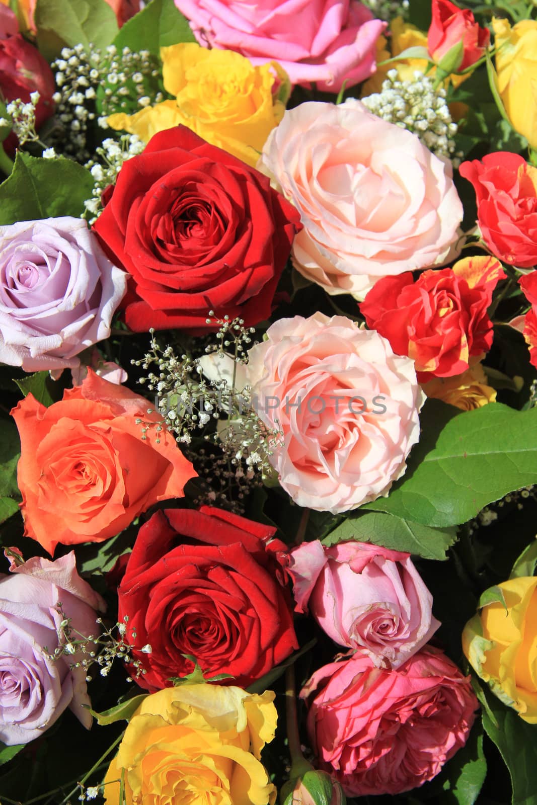 Mixed rose bouquet, big roses in bright colors