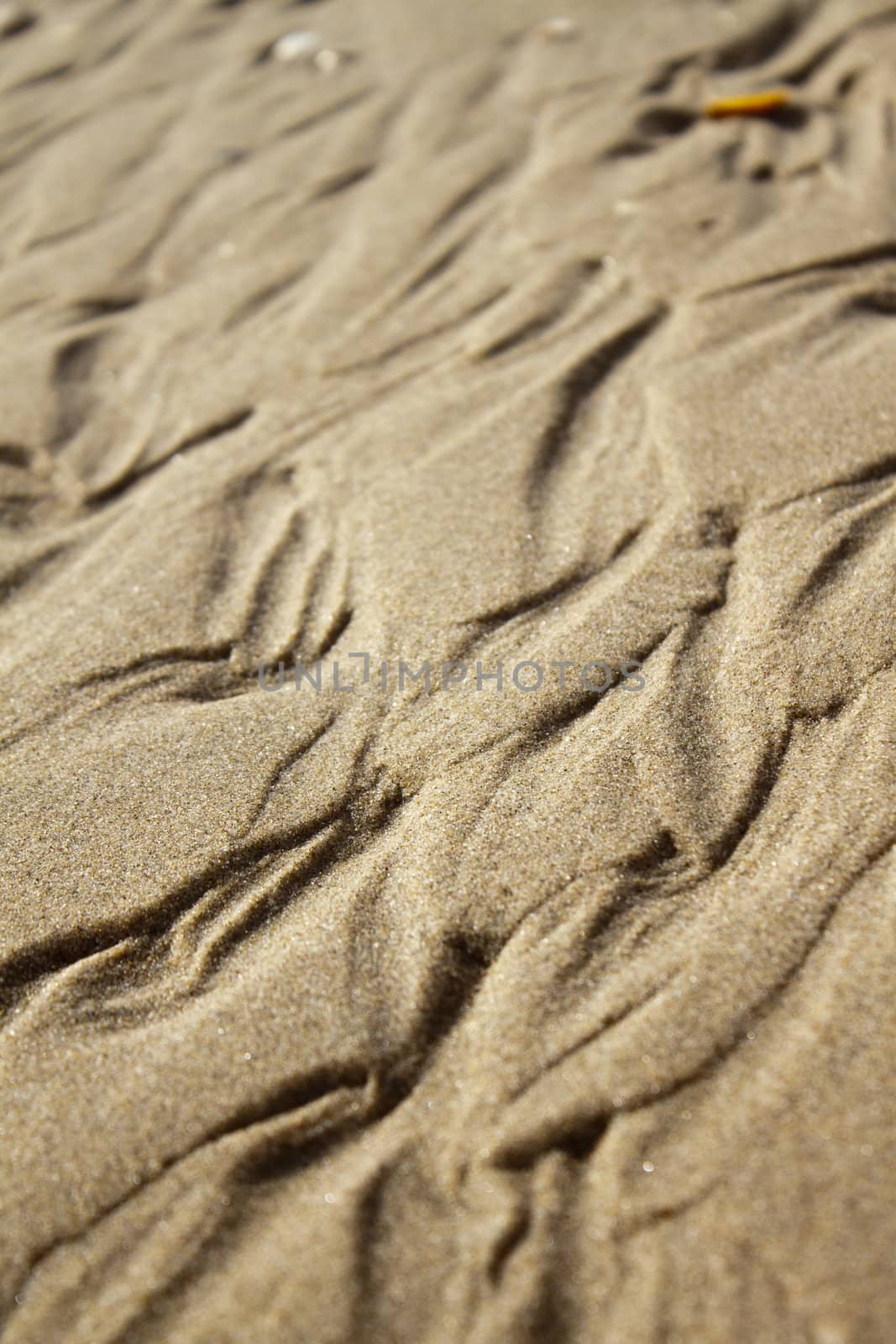 Sand texture