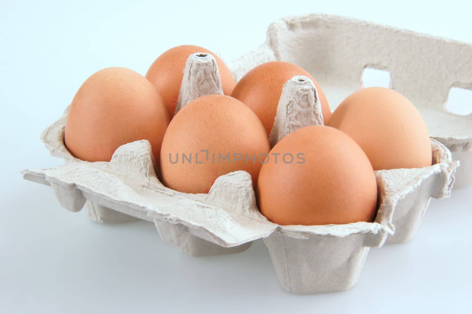 Six chicken eggs in Carton