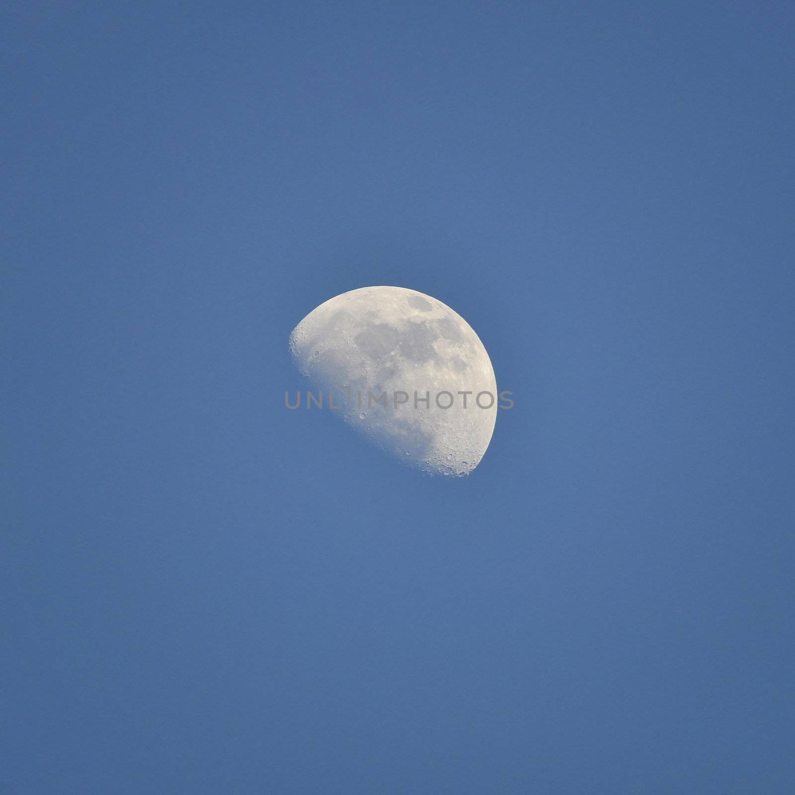 The Moon on a dark blue sky
