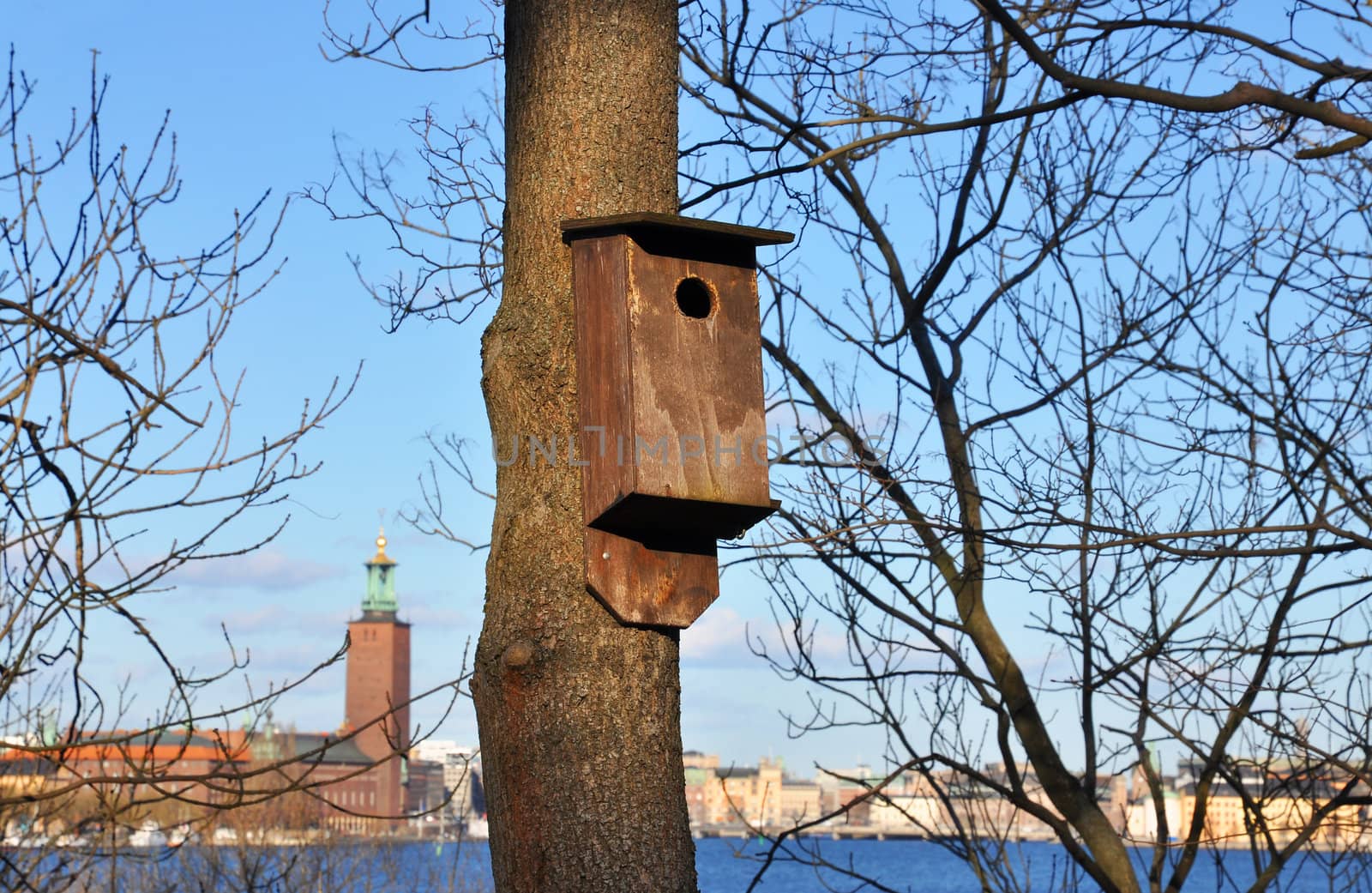 Wooden nesting box in a tree with Stockholm city hall in the background.