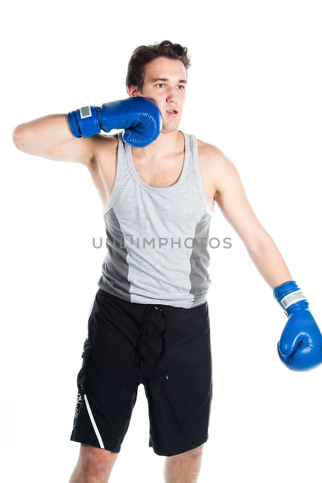 A young boxer in gray shirt and blue boxing gloves