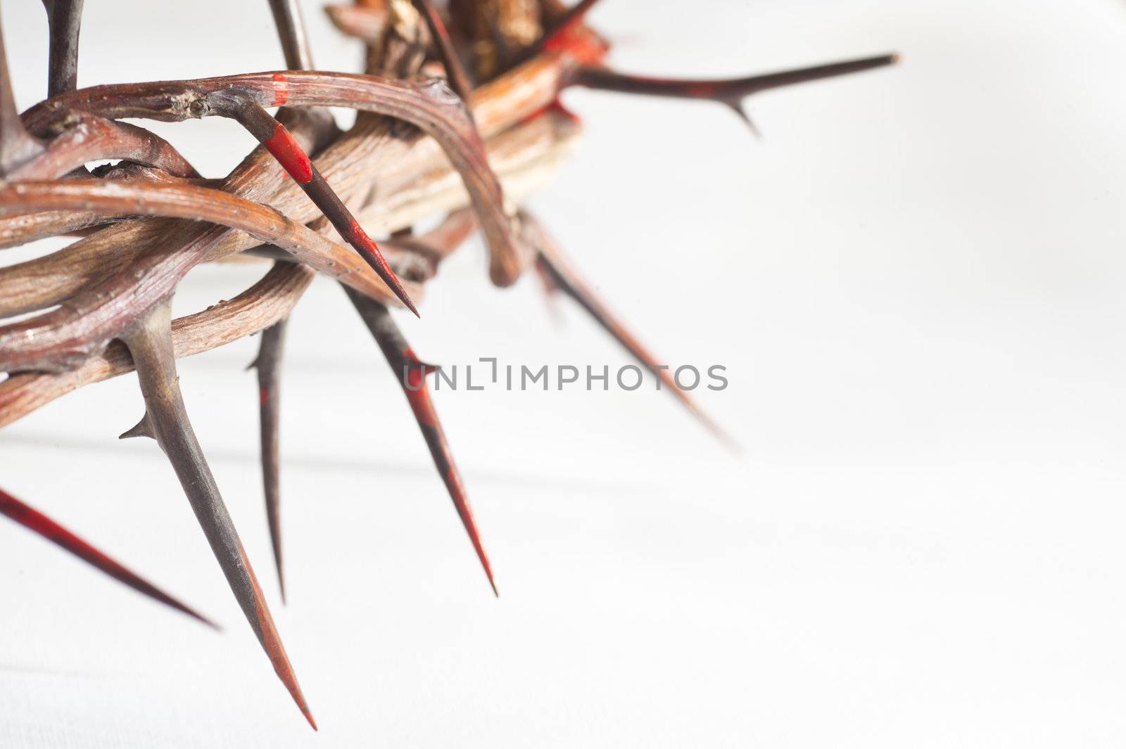 Crown of thorns on a white background by manaemedia