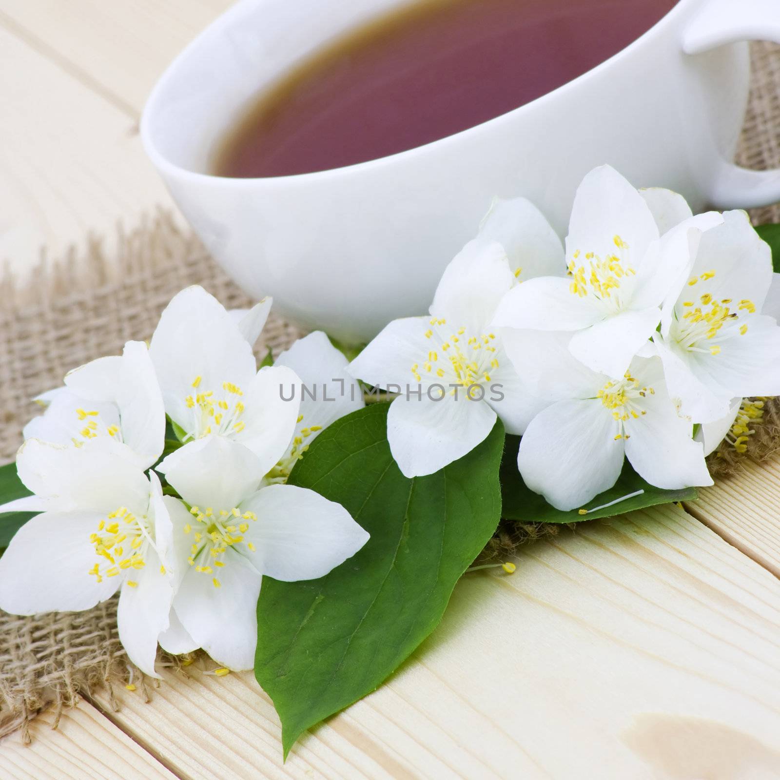 Cup of jasmine tea and jasmine flowers by miradrozdowski