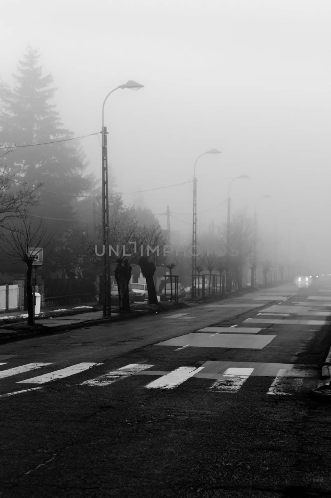 Dark road in fog focus on crosswalk with  cars in the background by svedoliver