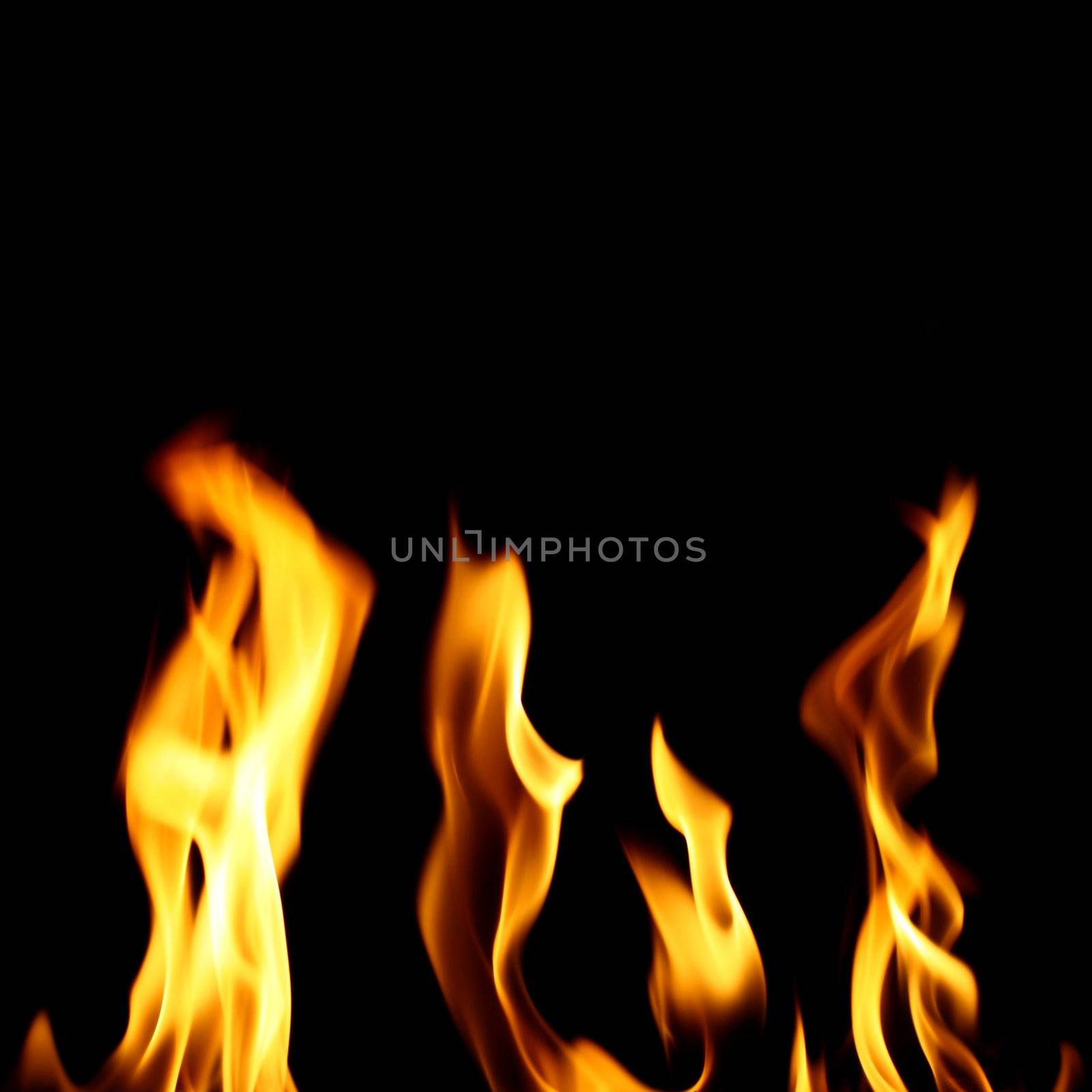 inferno flame fire on black background close up