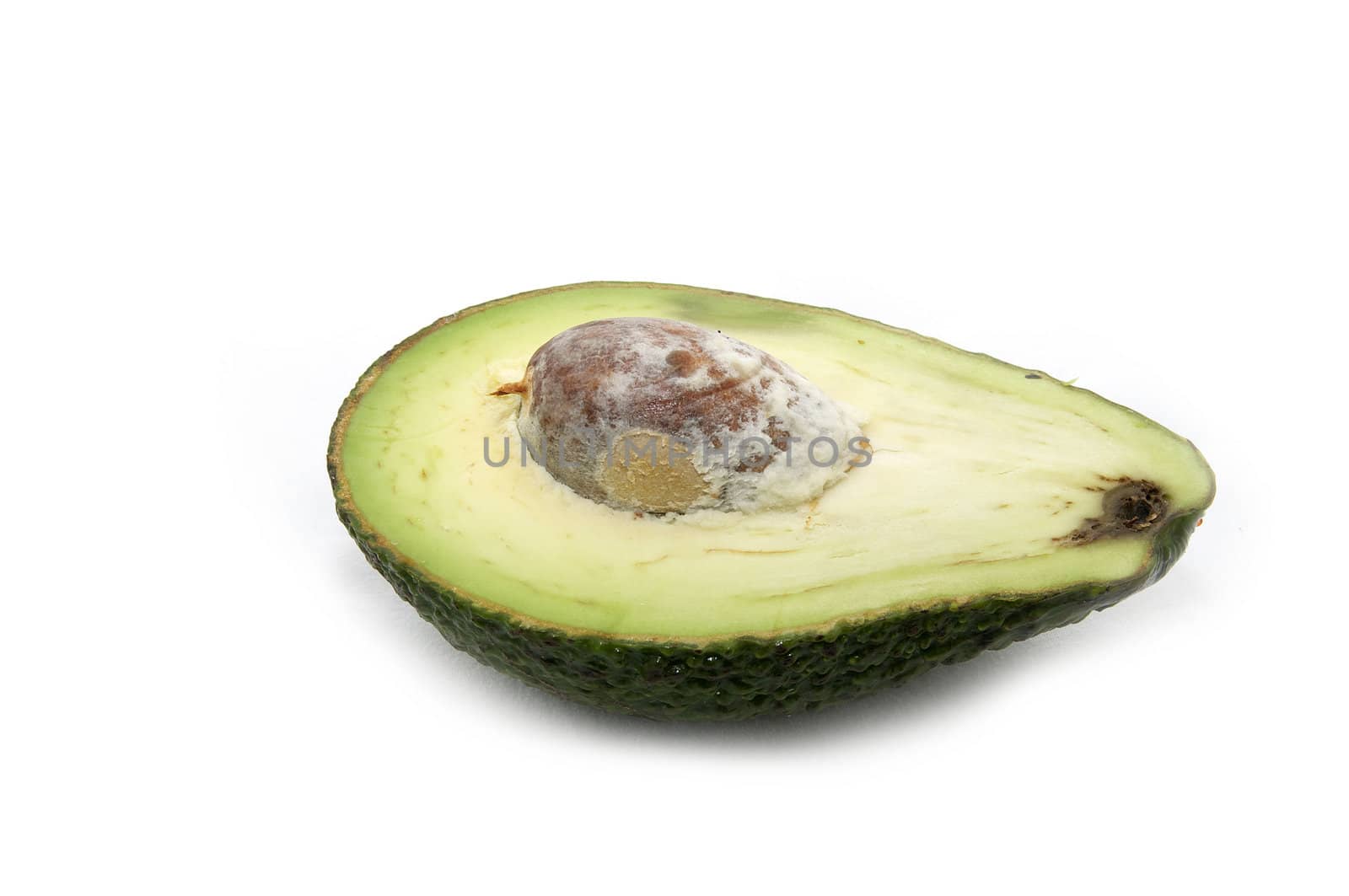 half avocado by Lester120