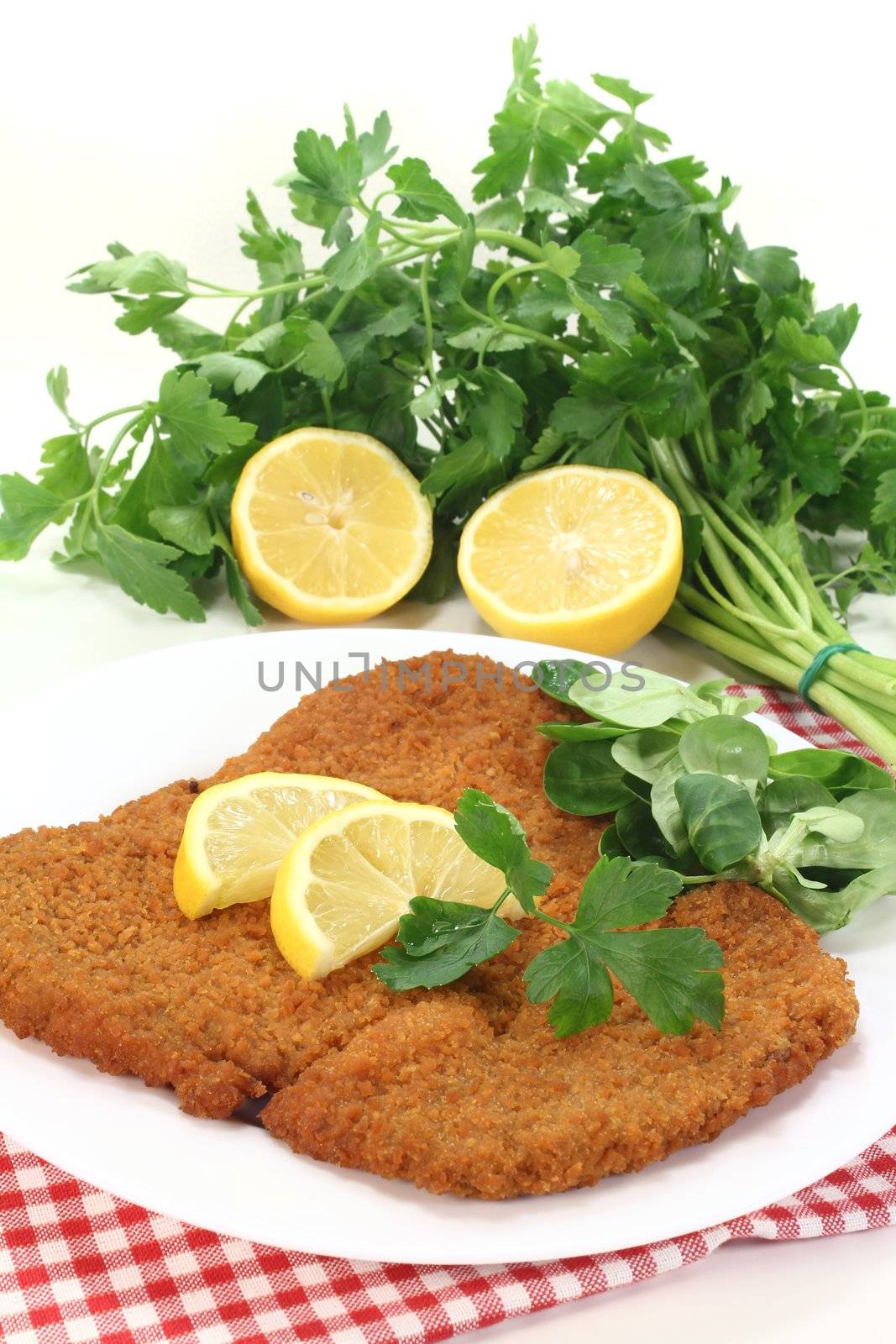 roasted wiener schnitzel with lemon slices and parsley