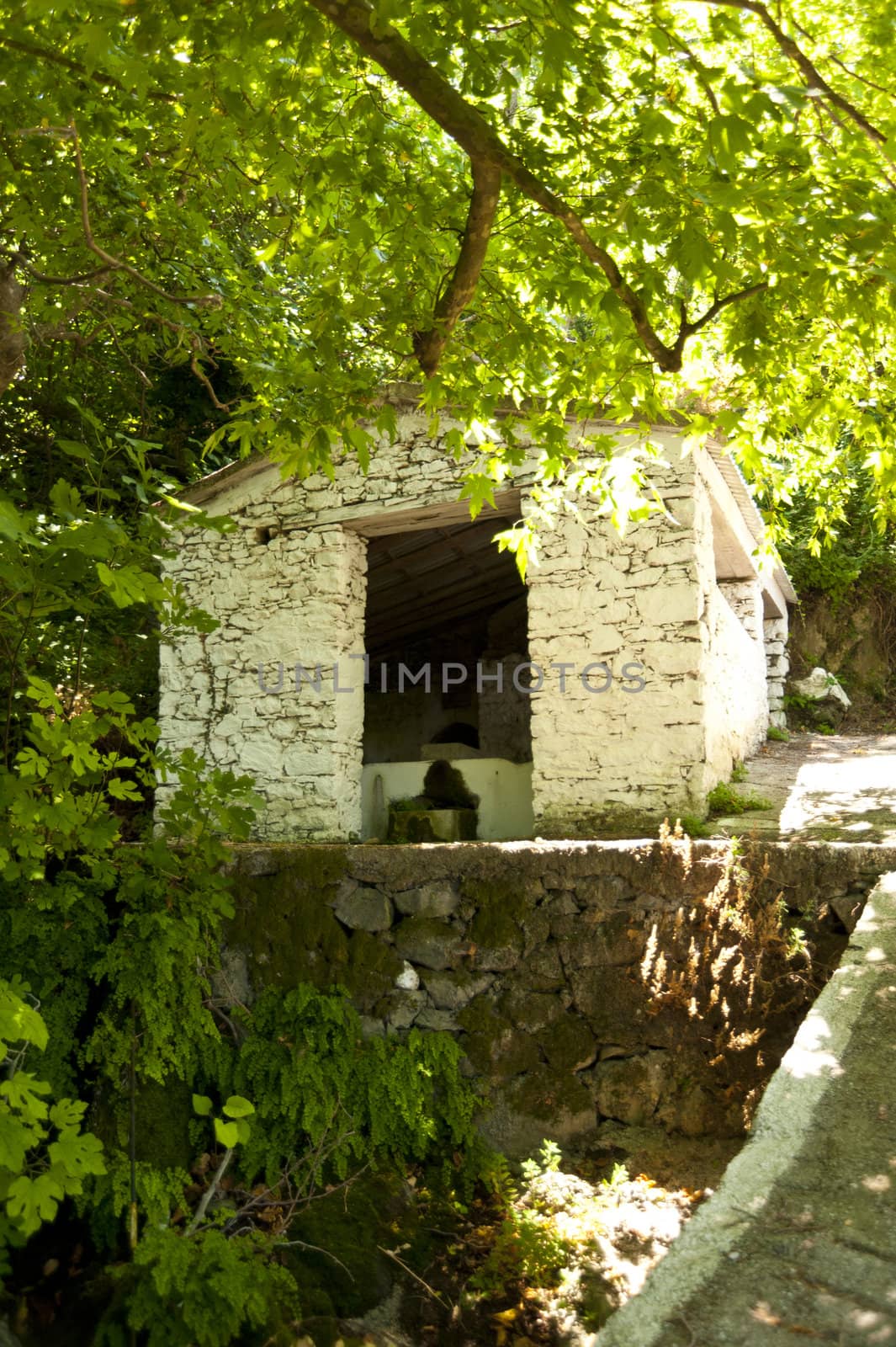 Ruin on Samos