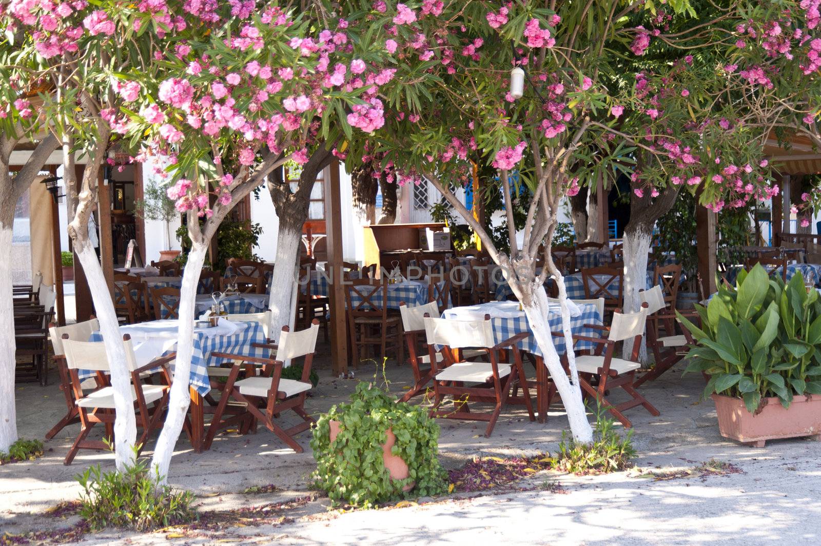 Sidewalk cafe on Samos