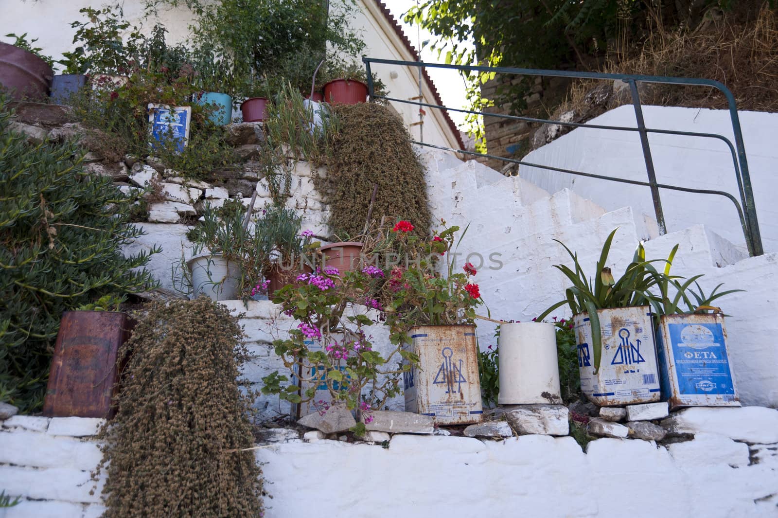 Flower tubs on Samos