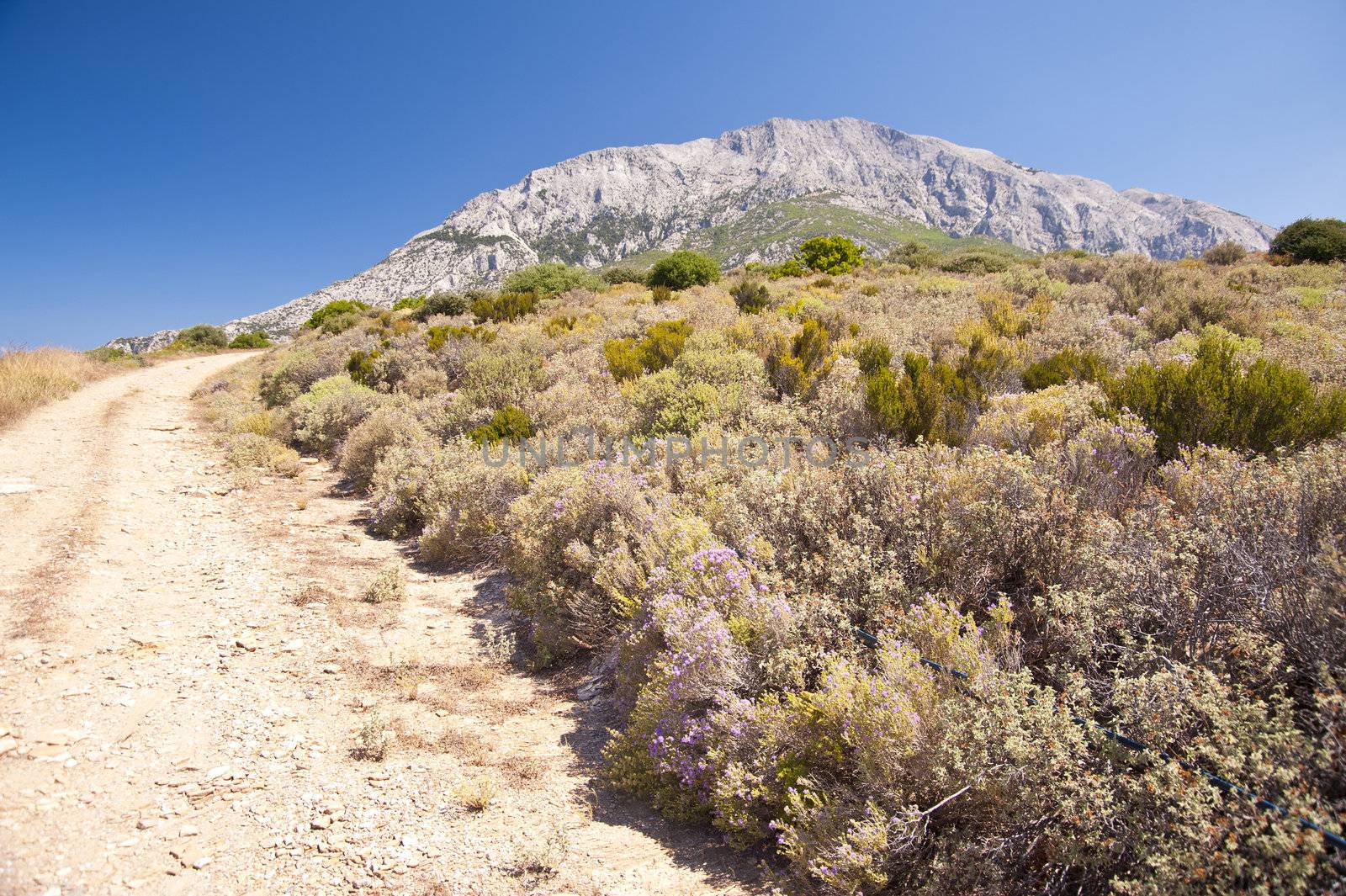 Landscape on Samos