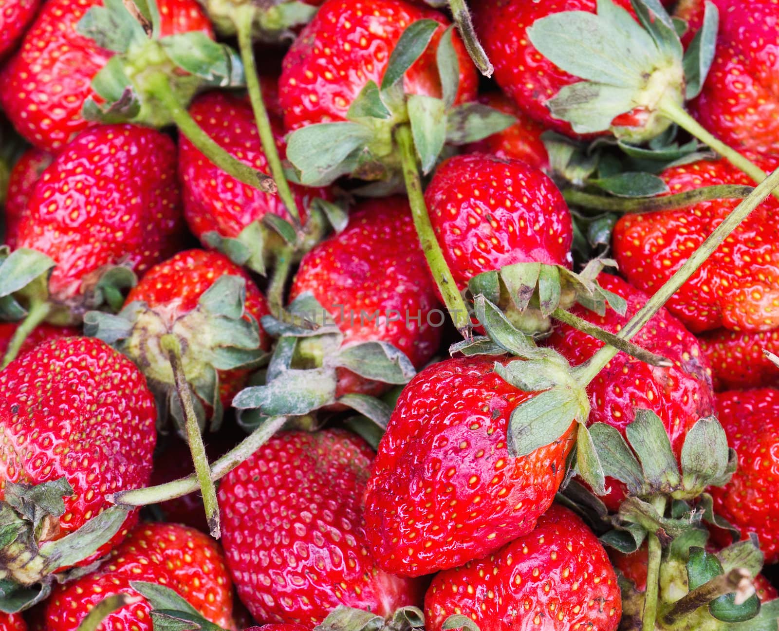Ripe Red Strawberries in Market