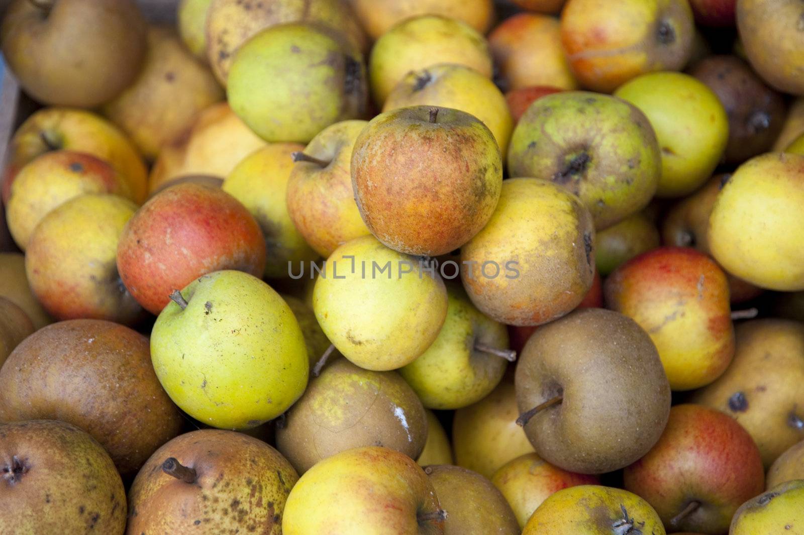 close up of apples