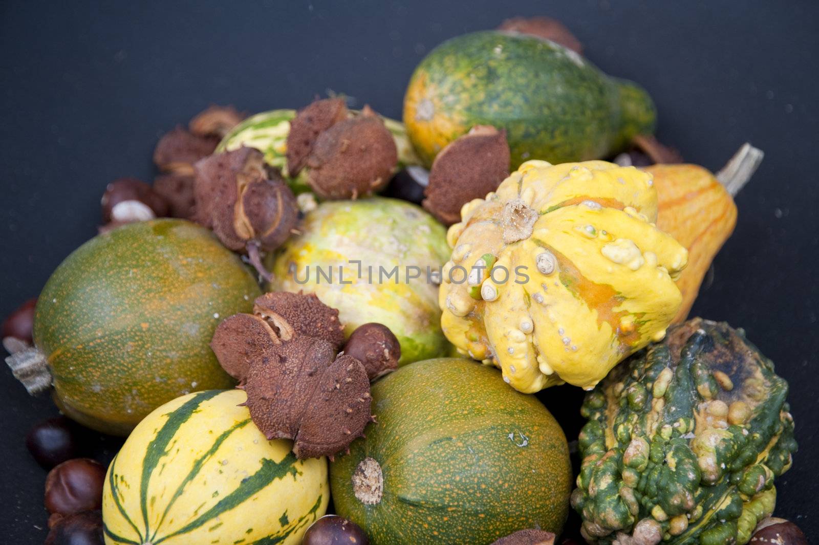 close up of pumpkins