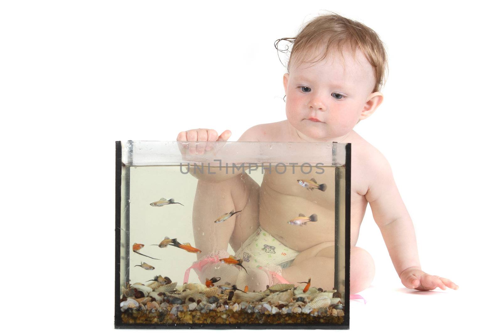 the little blue-eyed girl plays with small fishes in an aquarium. option 3