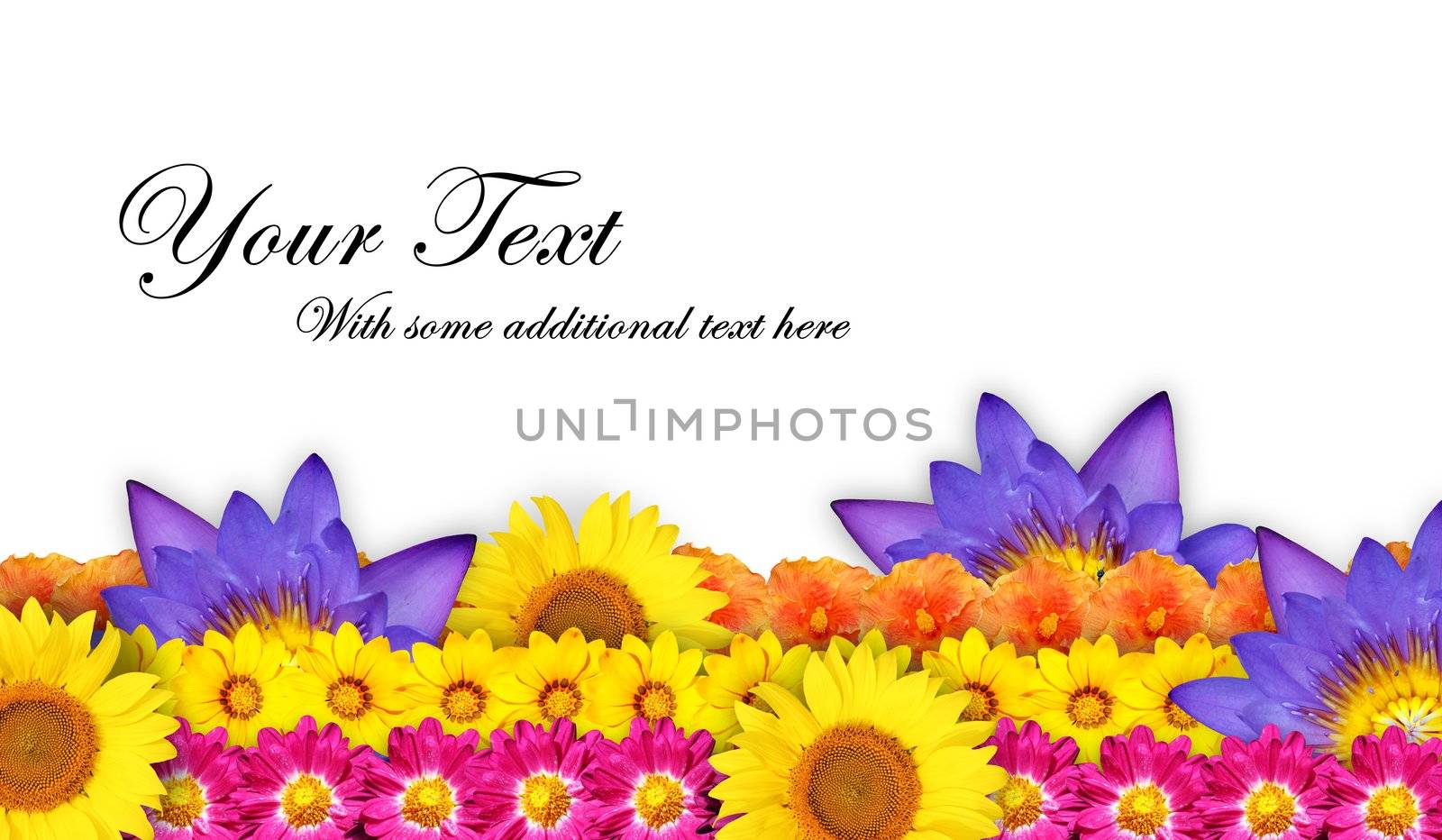 Flower border or flower frame with beautiful blooms arranged in rows and copy space for text.