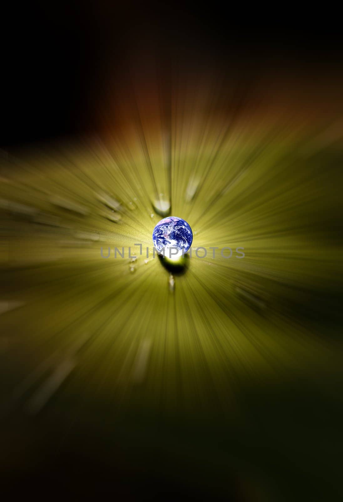 Planet earth waterdrop on leaf glowing in sunlight. Earth picture credit to: http://visibleearth.nasa.gov 