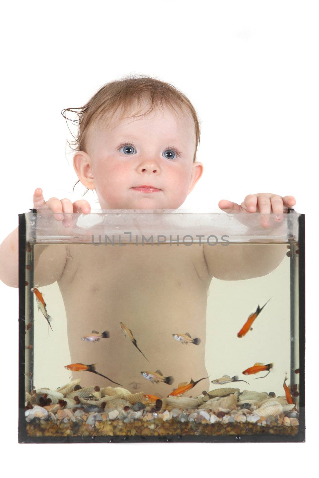 the little blue-eyed girl plays with small fishes in an aquarium. option 7