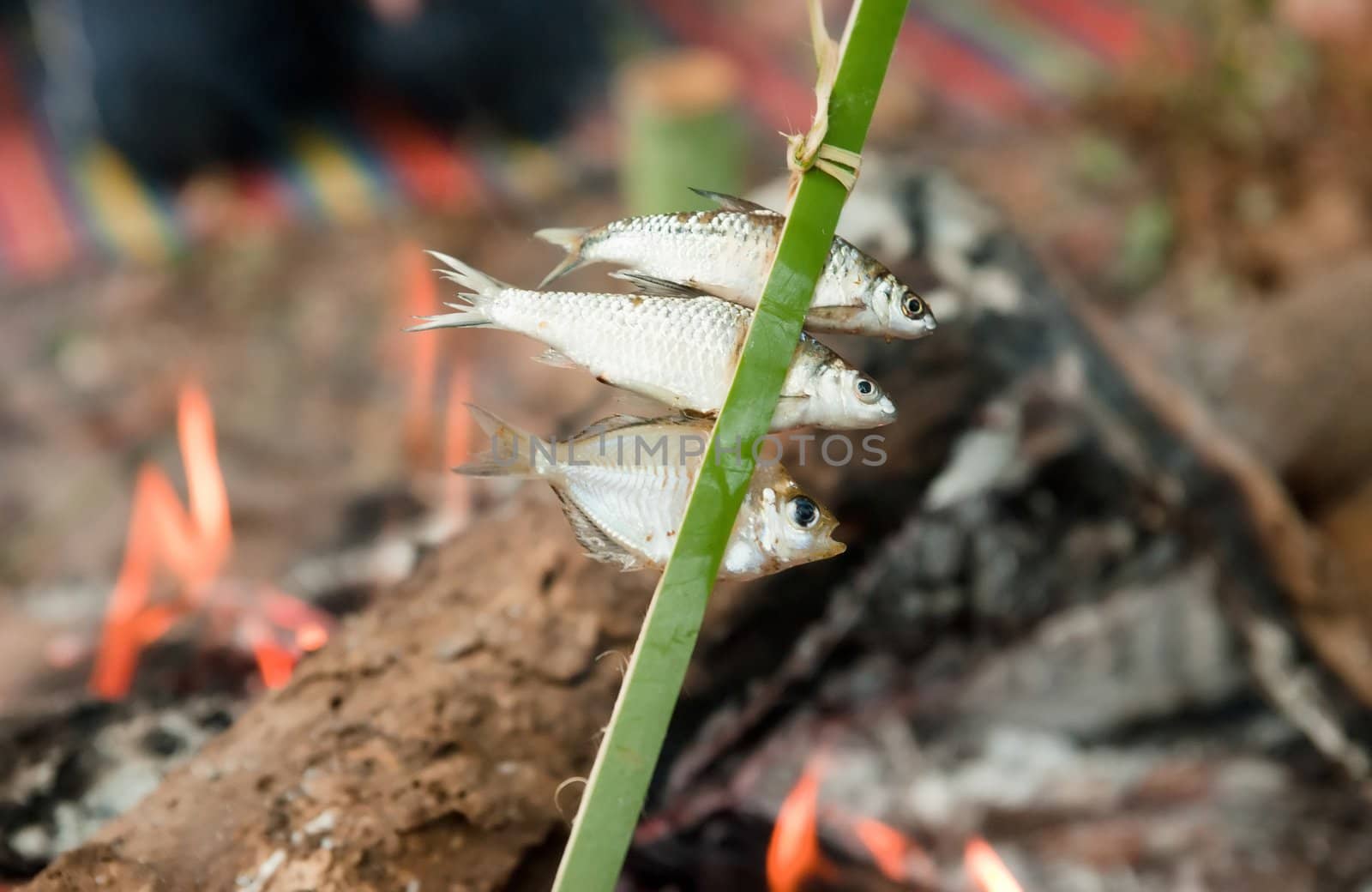 small fish cooking over fire by clearviewstock