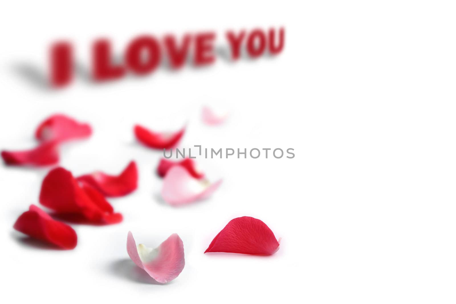 Rose petals with I love you phrase by mnsanthoshkumar