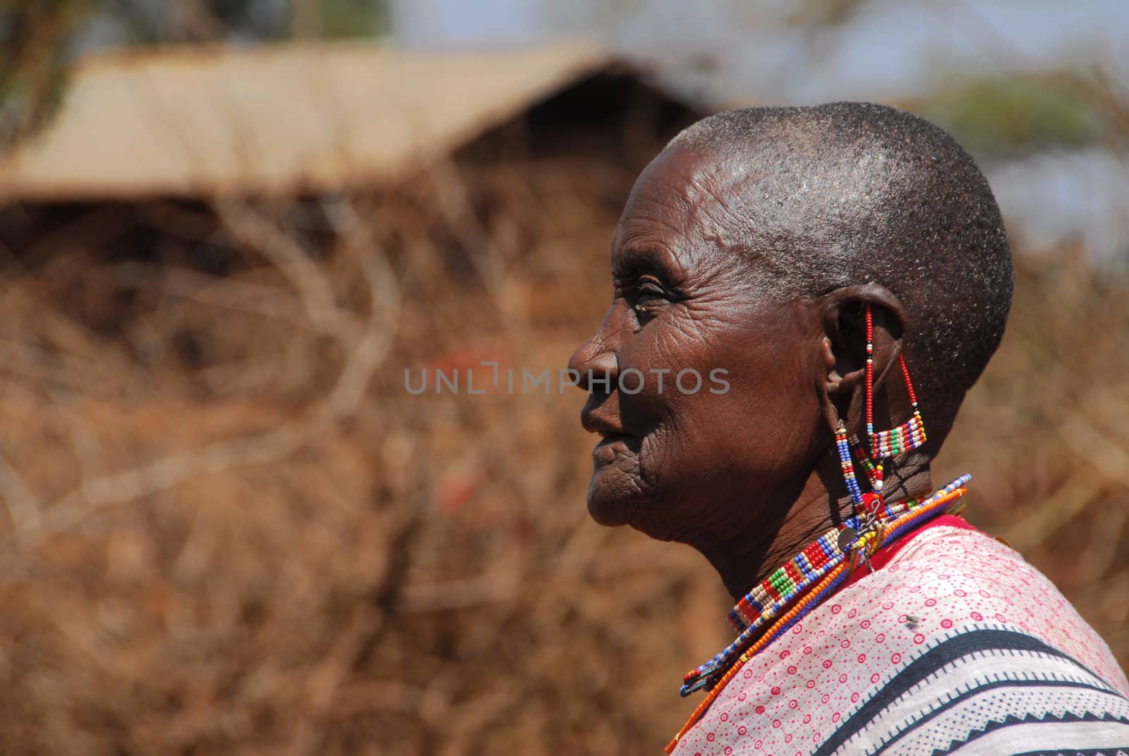 Masai Mara, Kenya July 13, 2009: a old  Masai woman in the bush wearing the typical jewelry forgings of small colored beads.