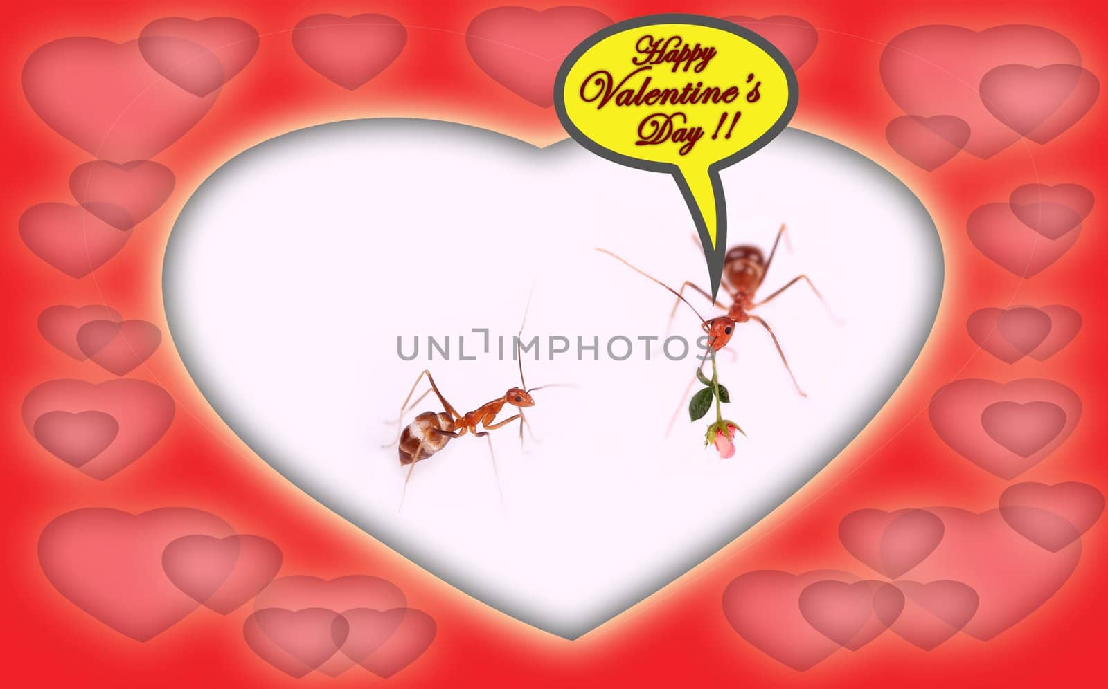 Happy valentine's day wish by mnsanthoshkumar