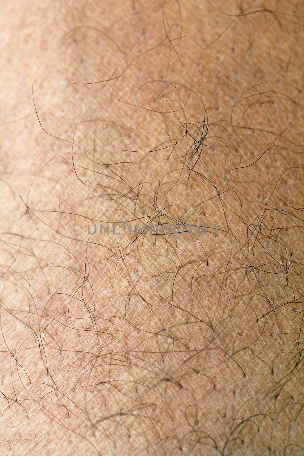 Human skin with strands of hair close up showing ridges and patterns of skin on leg 