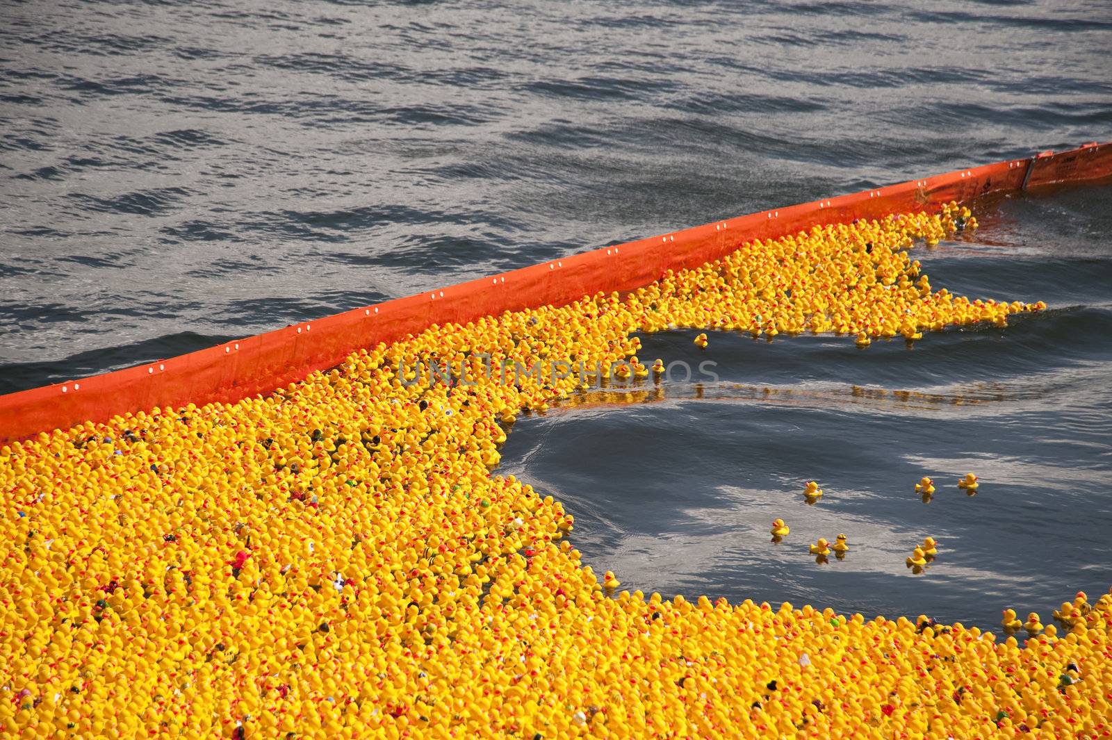 entenrennen / duck race / lions club / kiel / germany