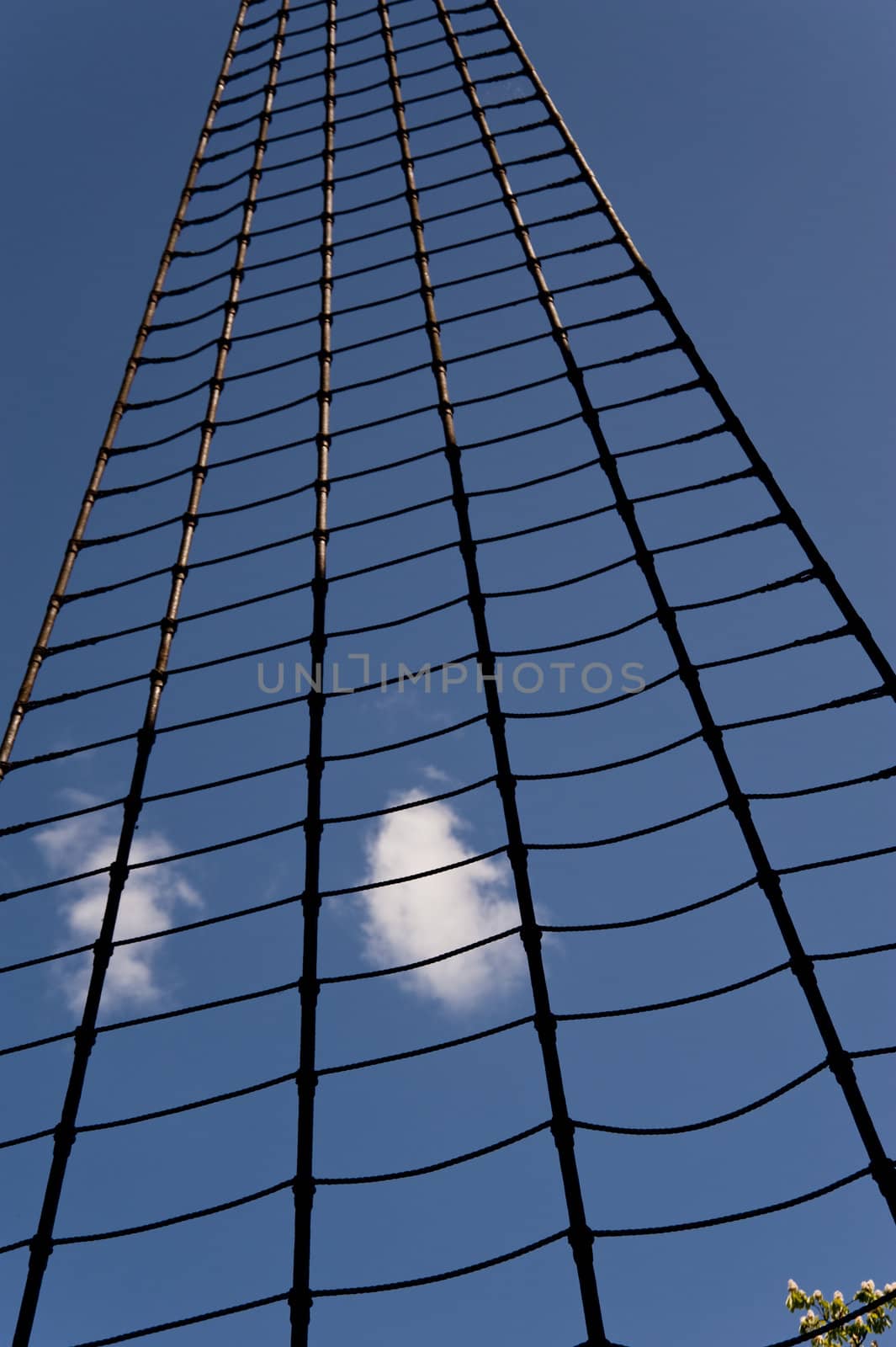 rope ladder in the sky