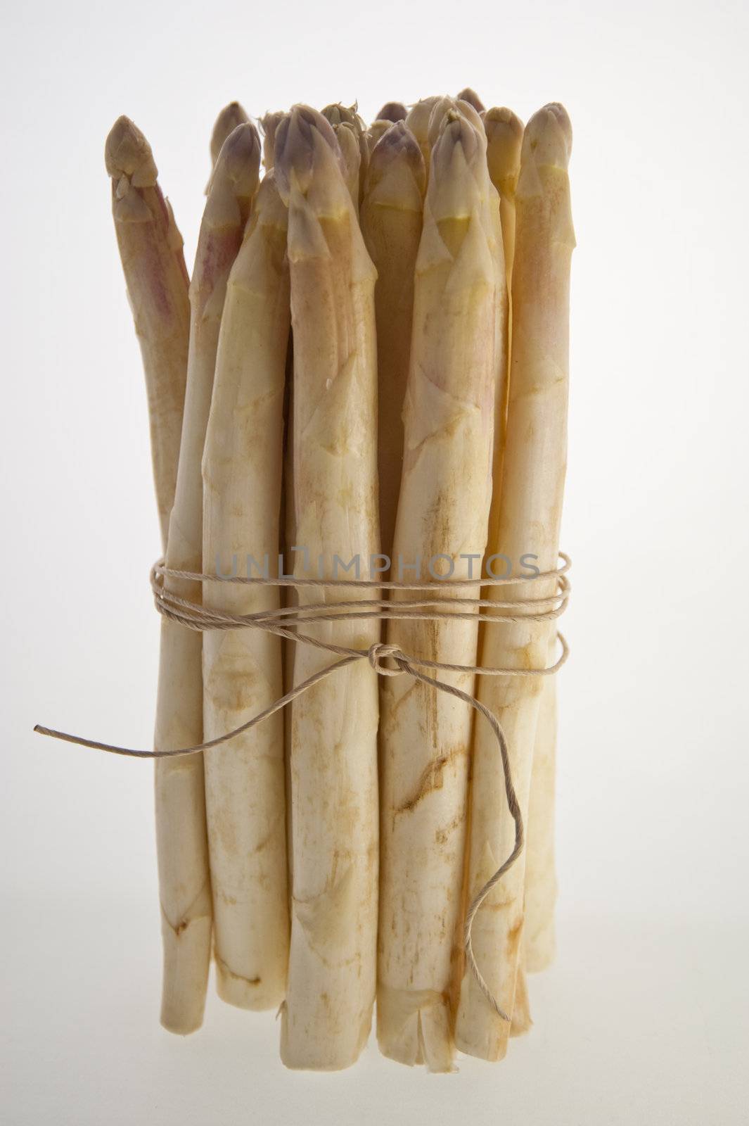 close up of asparagus