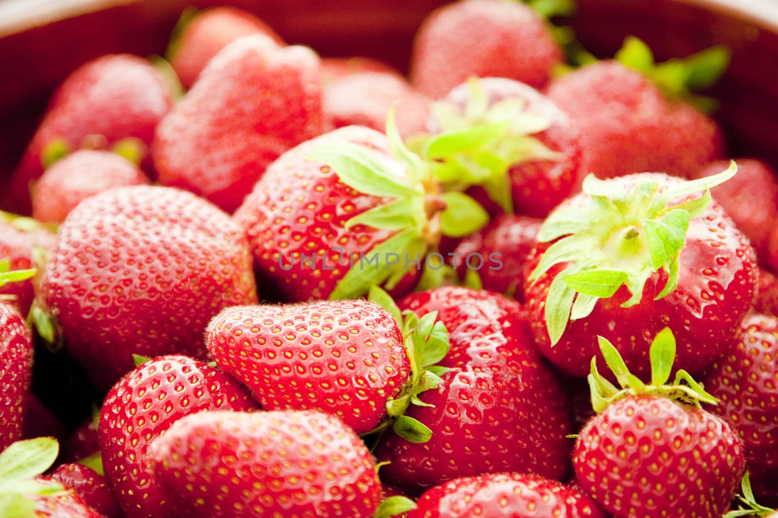 close up of fresh strawberries