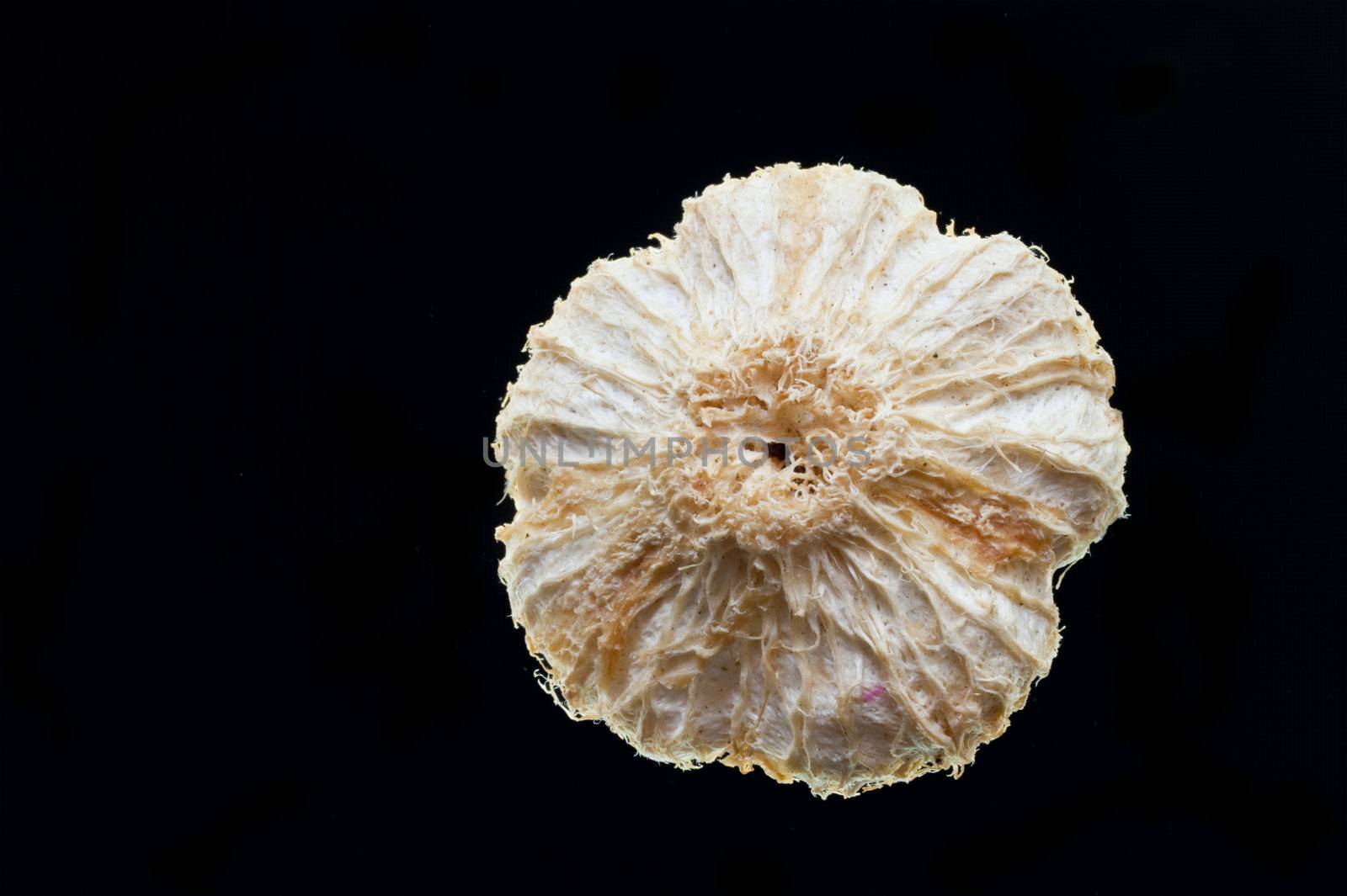 Macro of a dried fruit
