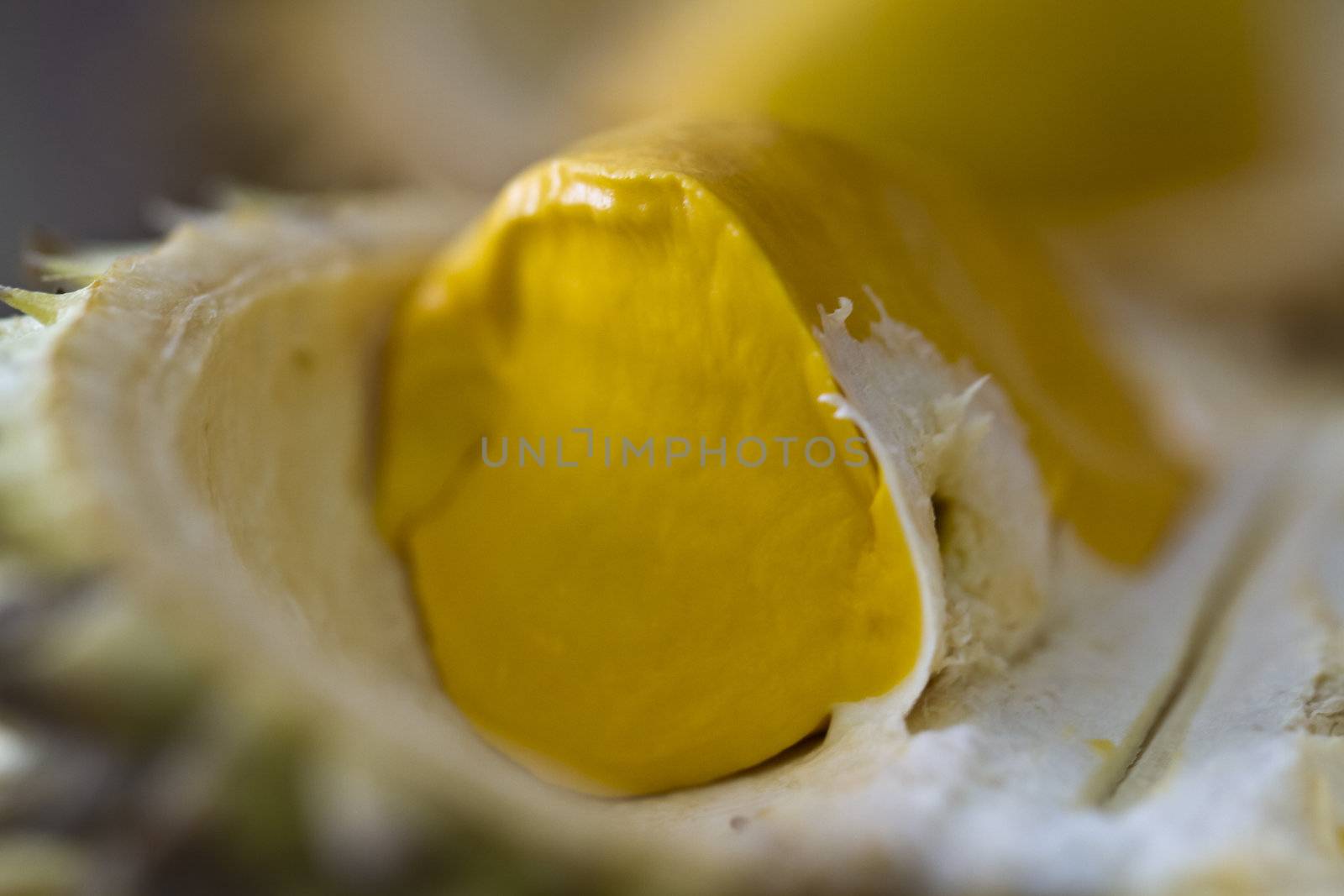 Durian Close up by azamshah72