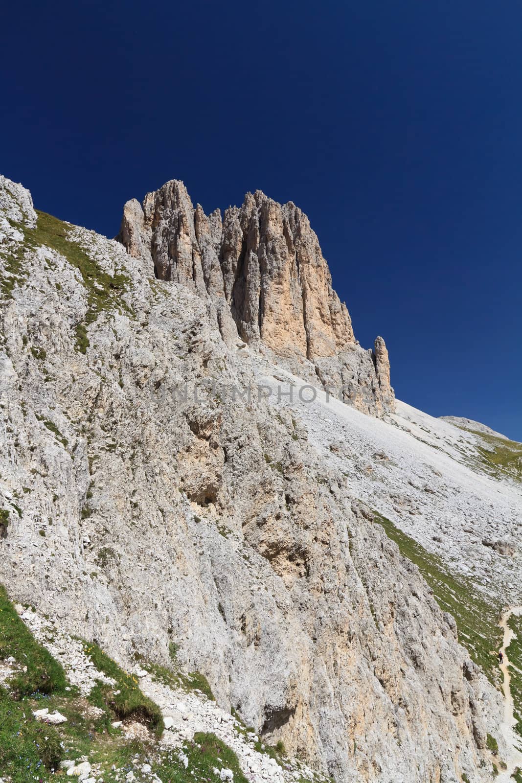summer landscape on Catinaccio Dolomites, on background Sforcella  mount