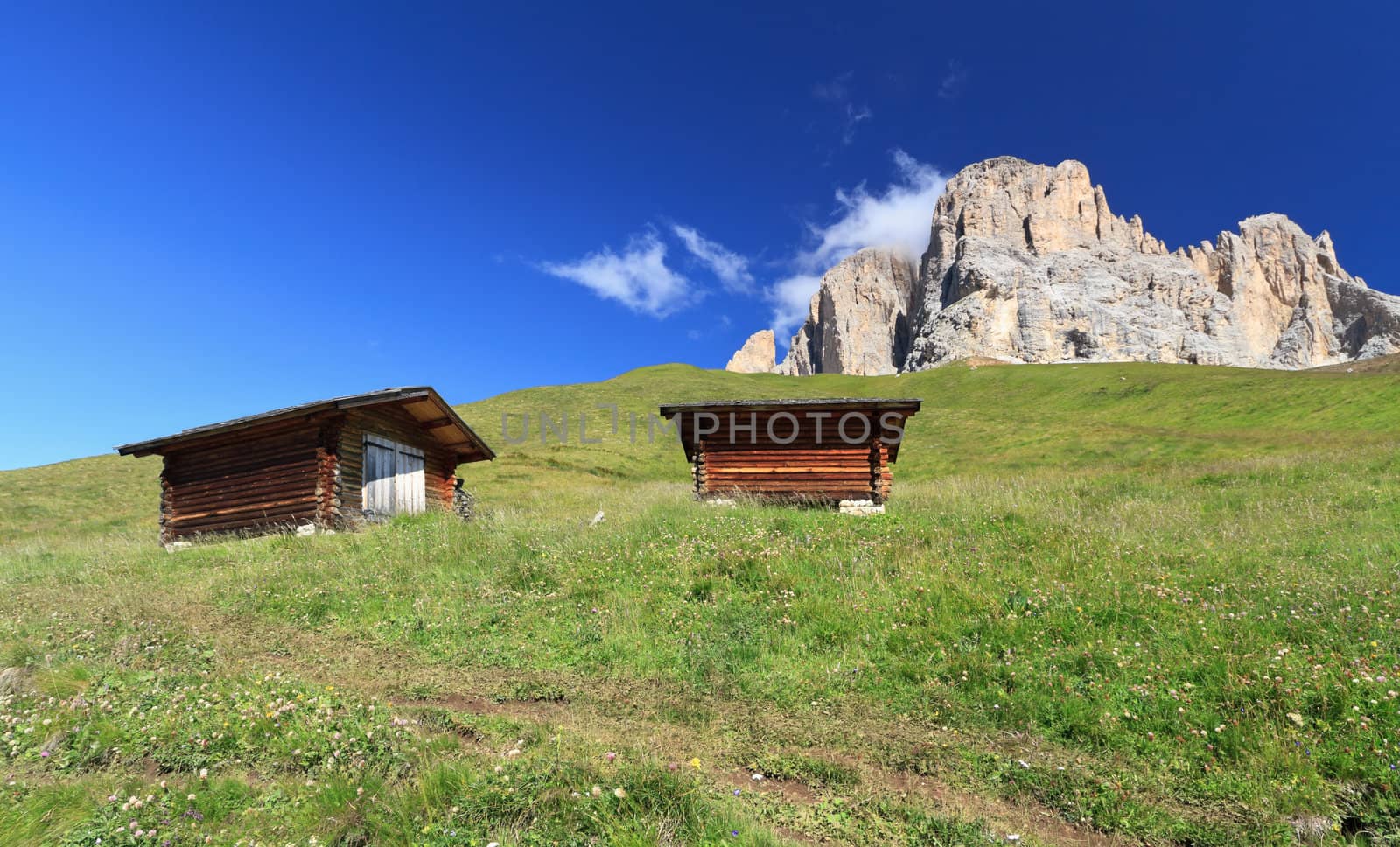 	barn beneath Sassolungo mount, Fassa Valley, Trentino, Italy