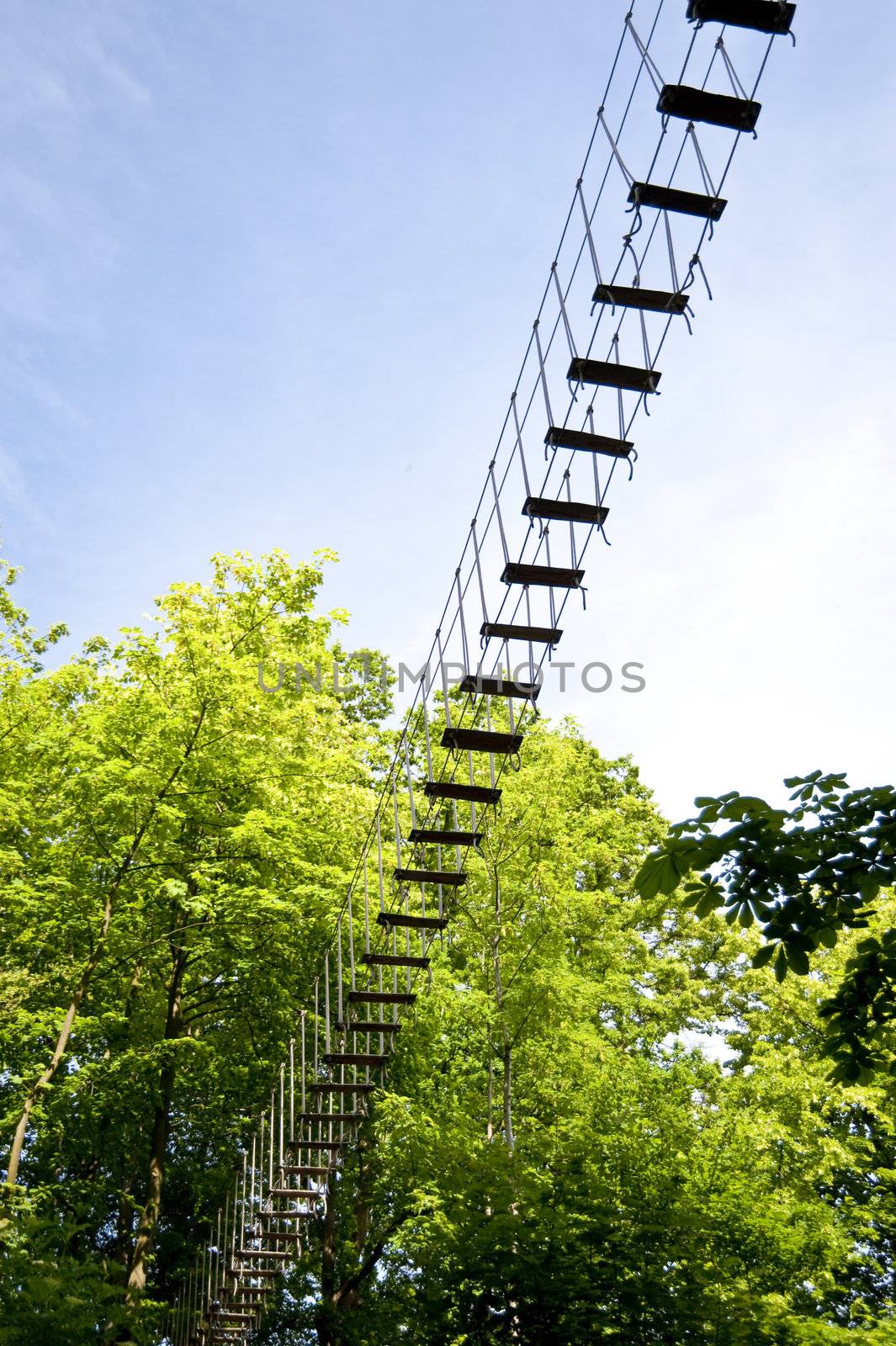 high wire climbing in the wood