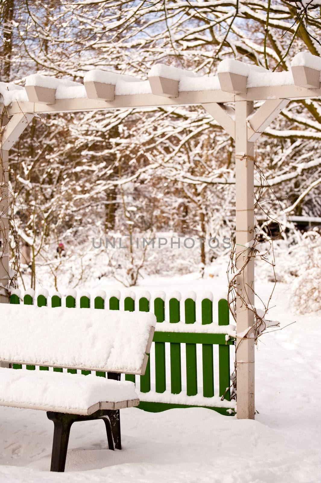 Snow covered garden