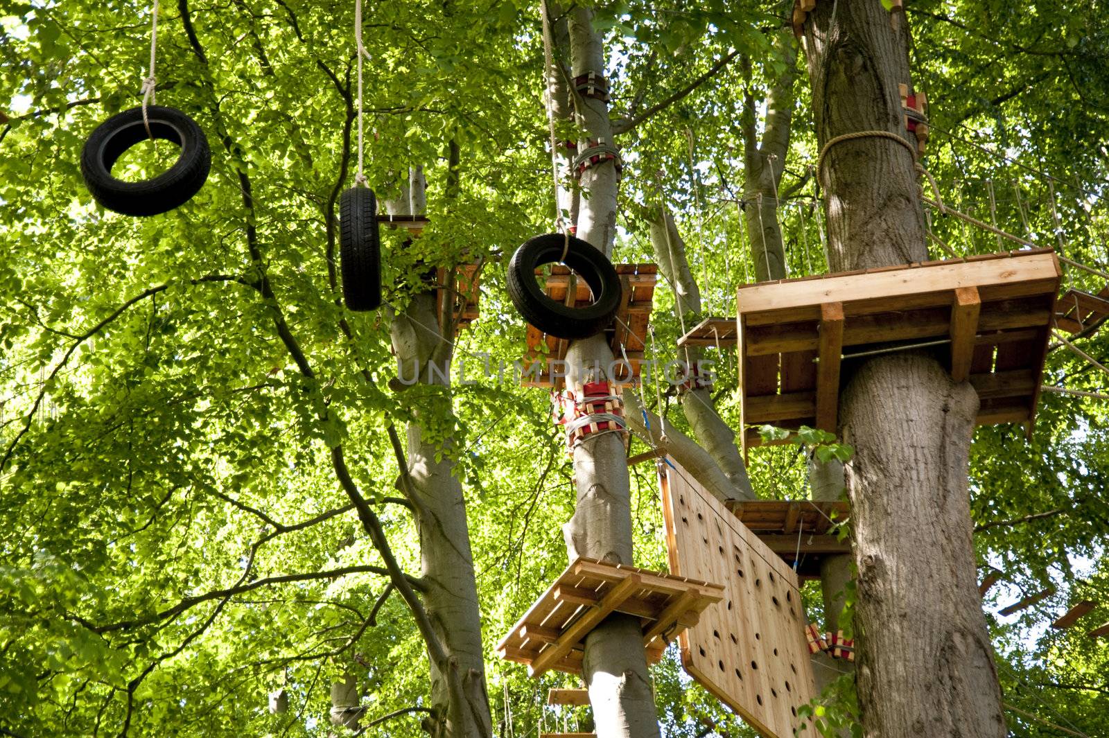 high wire climbing in the wood