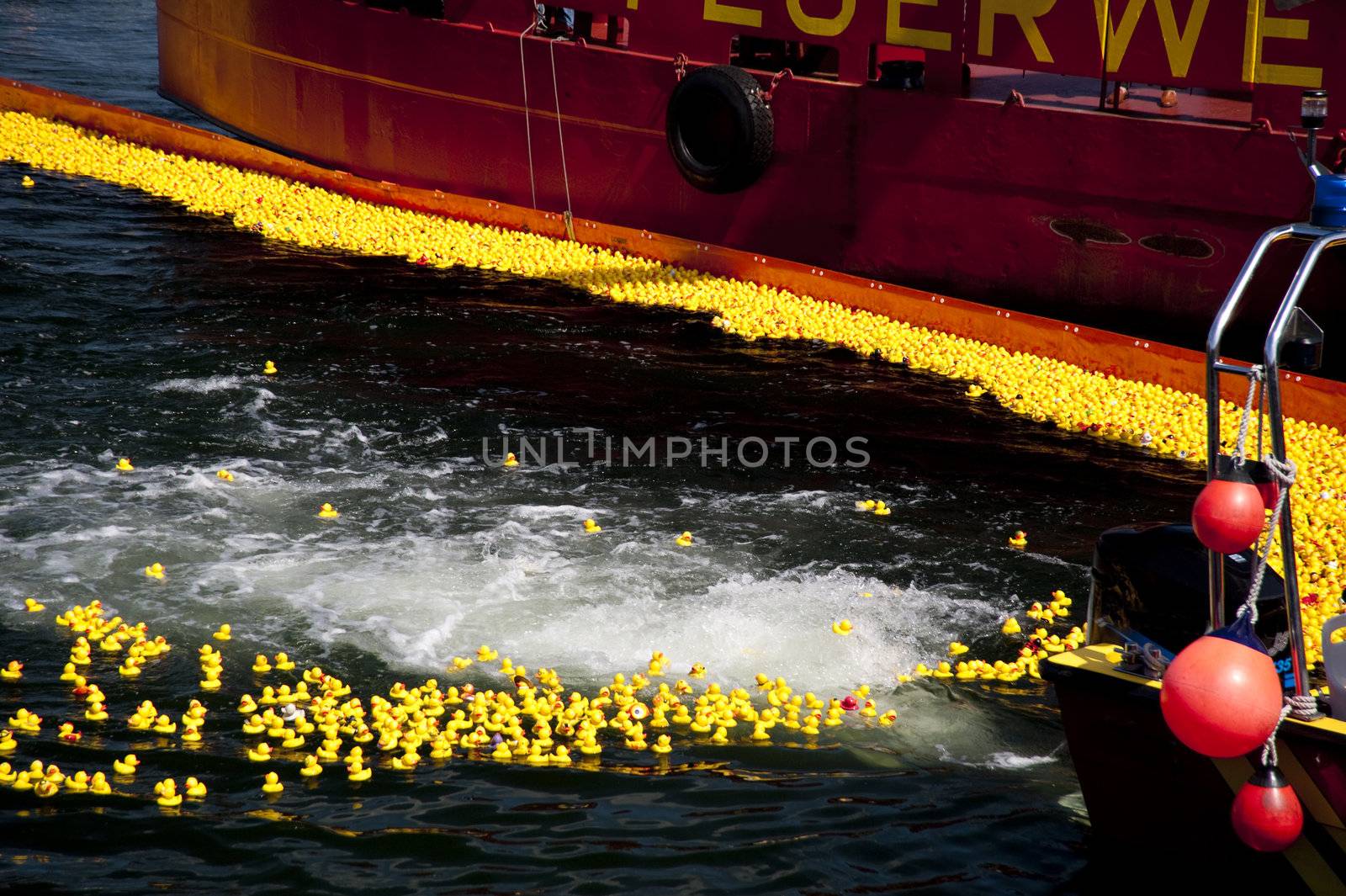 entenrennen / duck race / lions club / kiel / germany