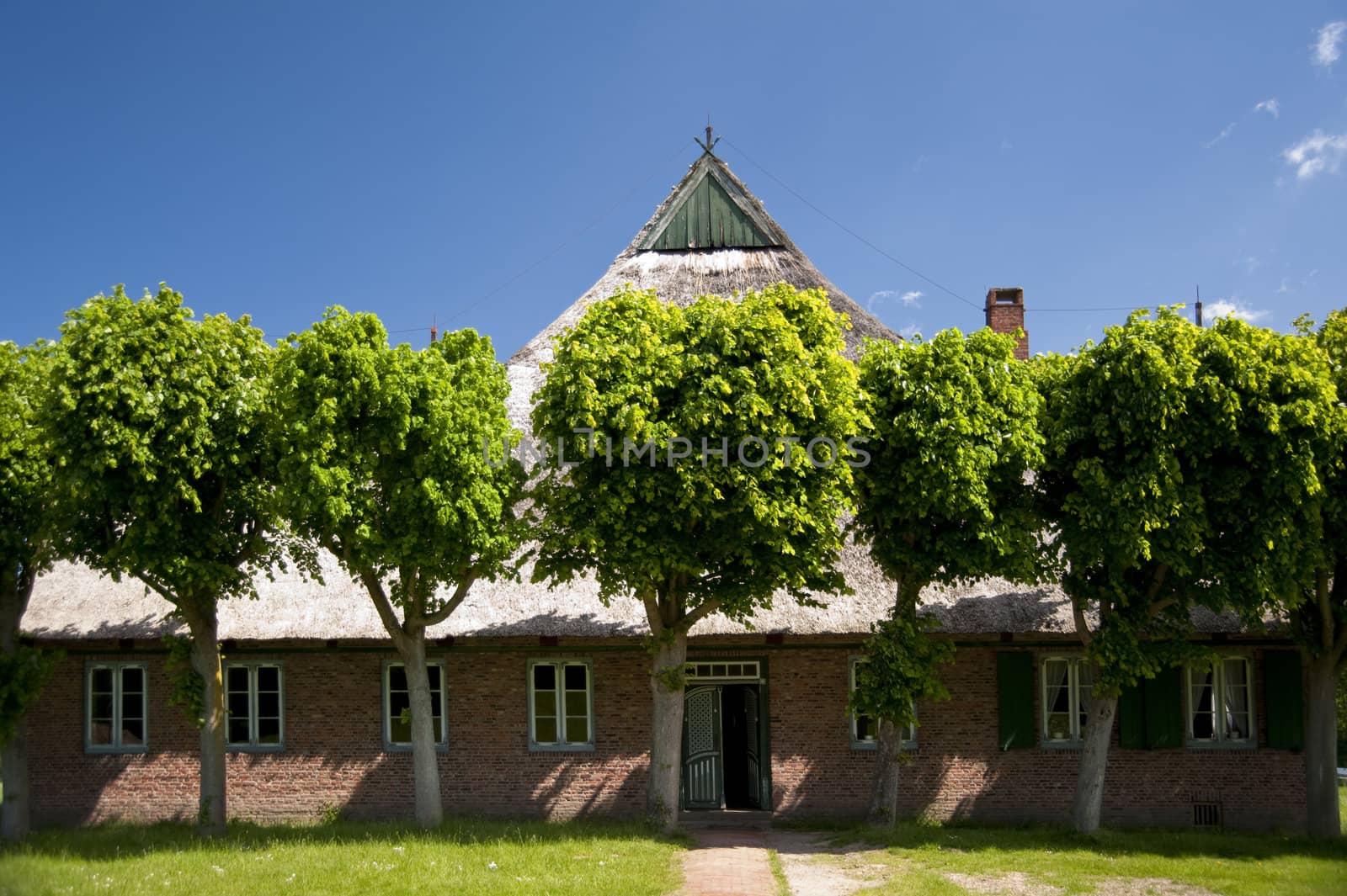 scenes of a farm