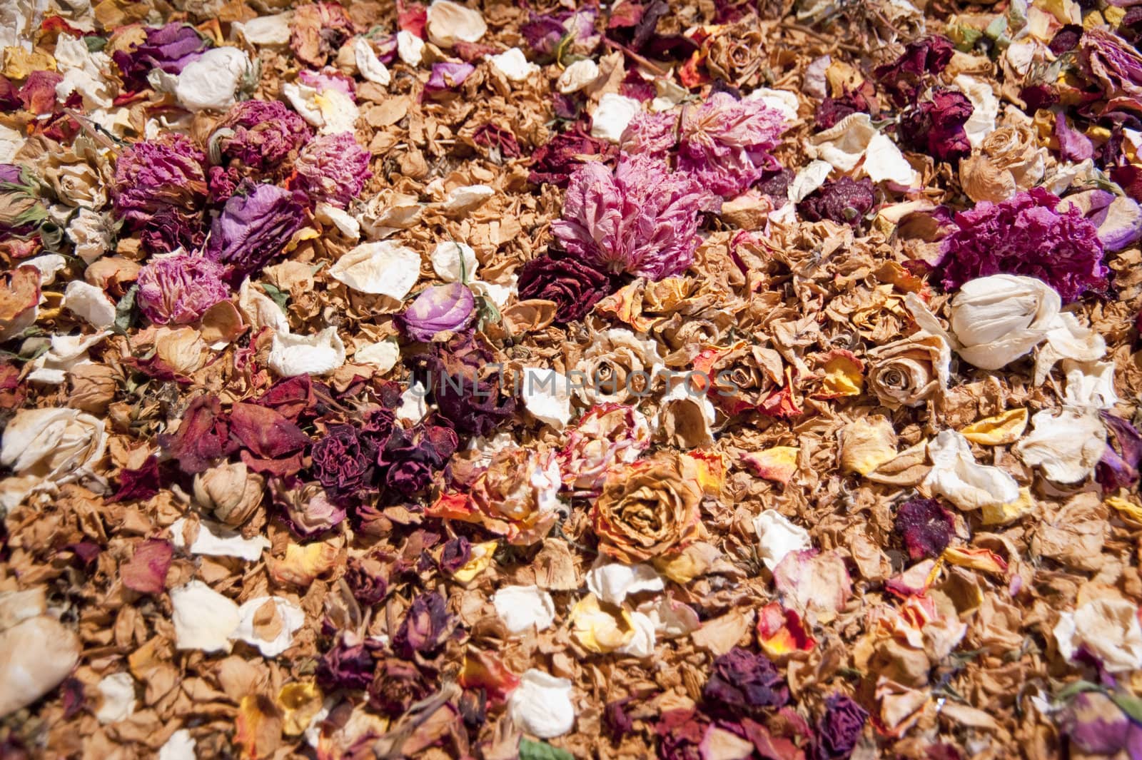 dried flowers